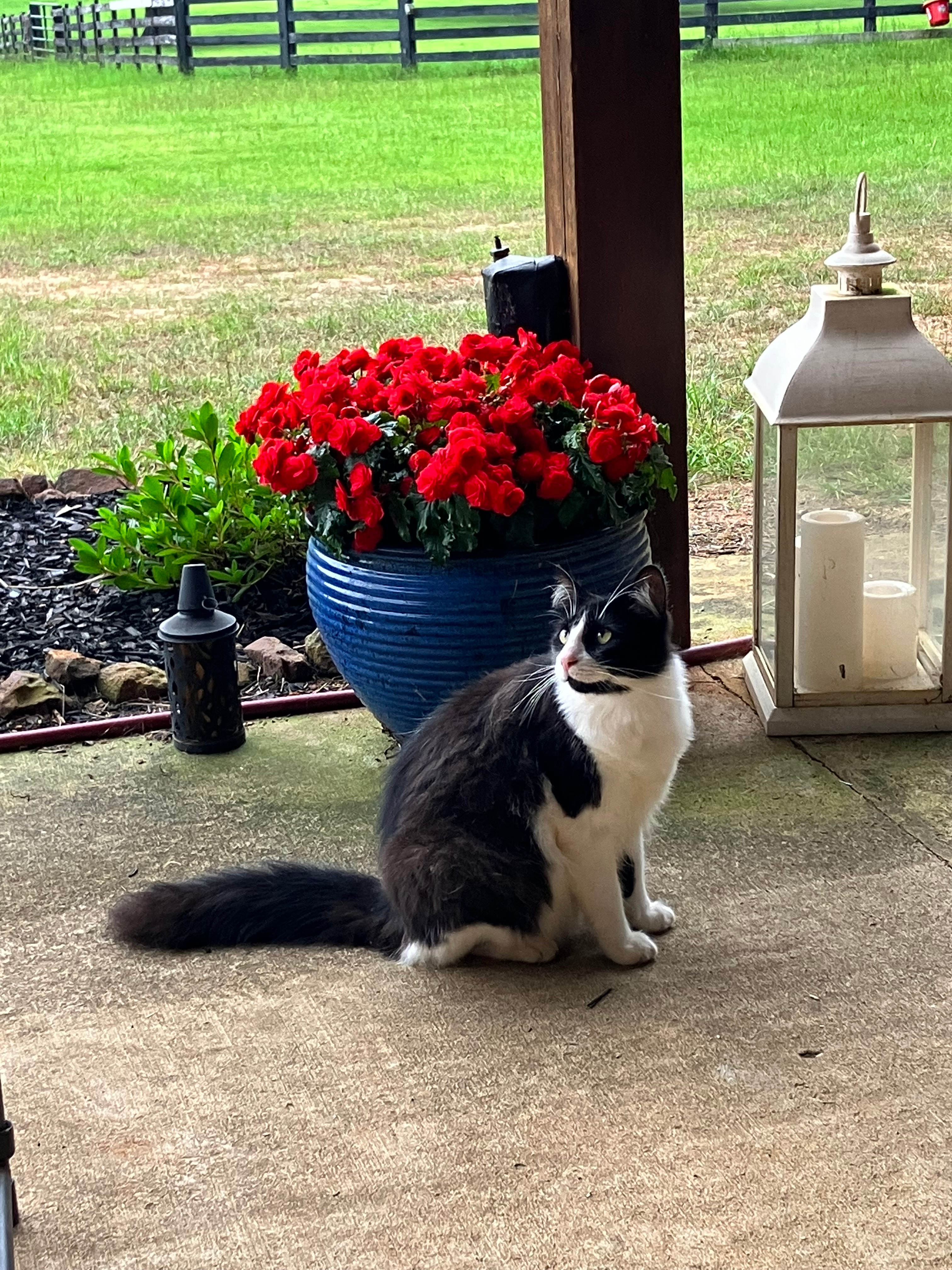 Southern Dreams Ranch