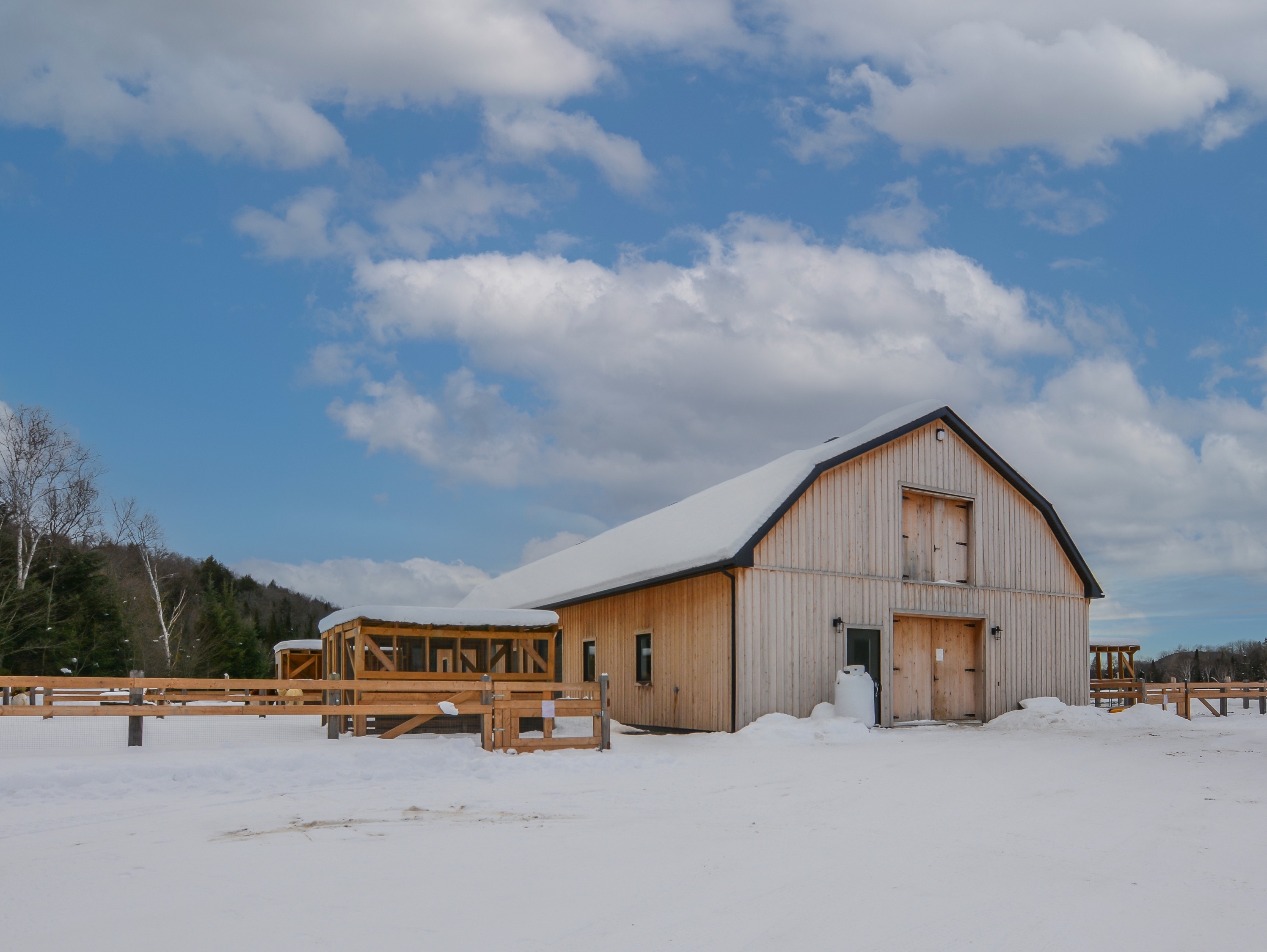 MICKY DOME BEL AIR TREMBLANT