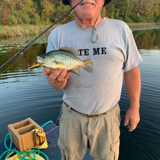 Bayberry Acres on Danger Lake