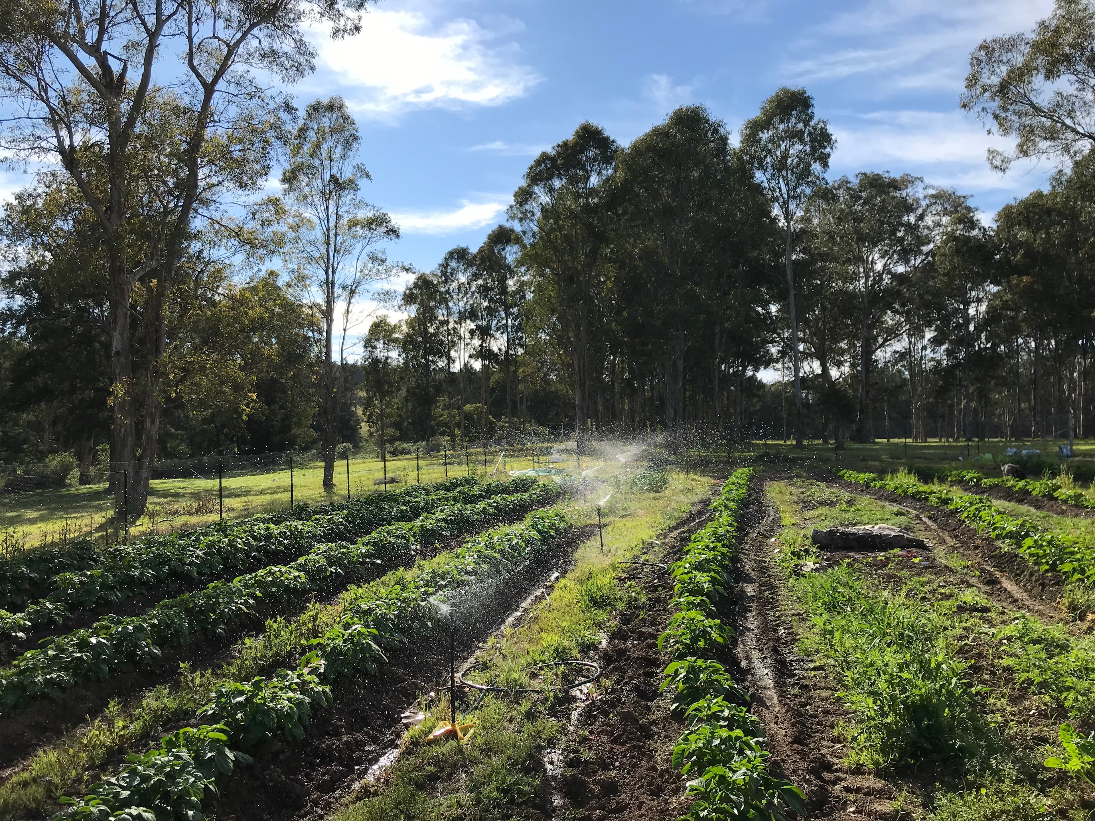 Mymossa Farm