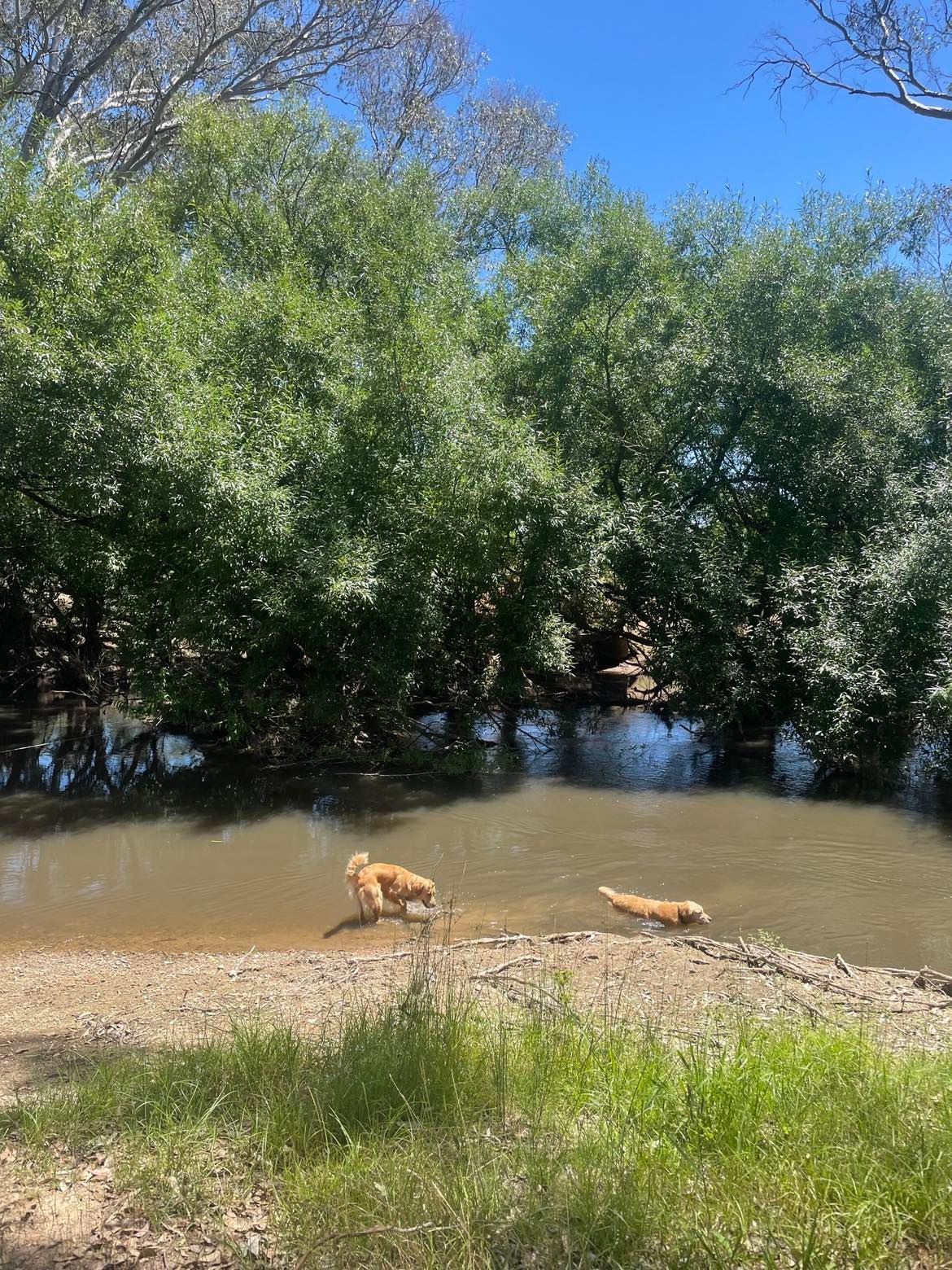 Billabong Flats Farm