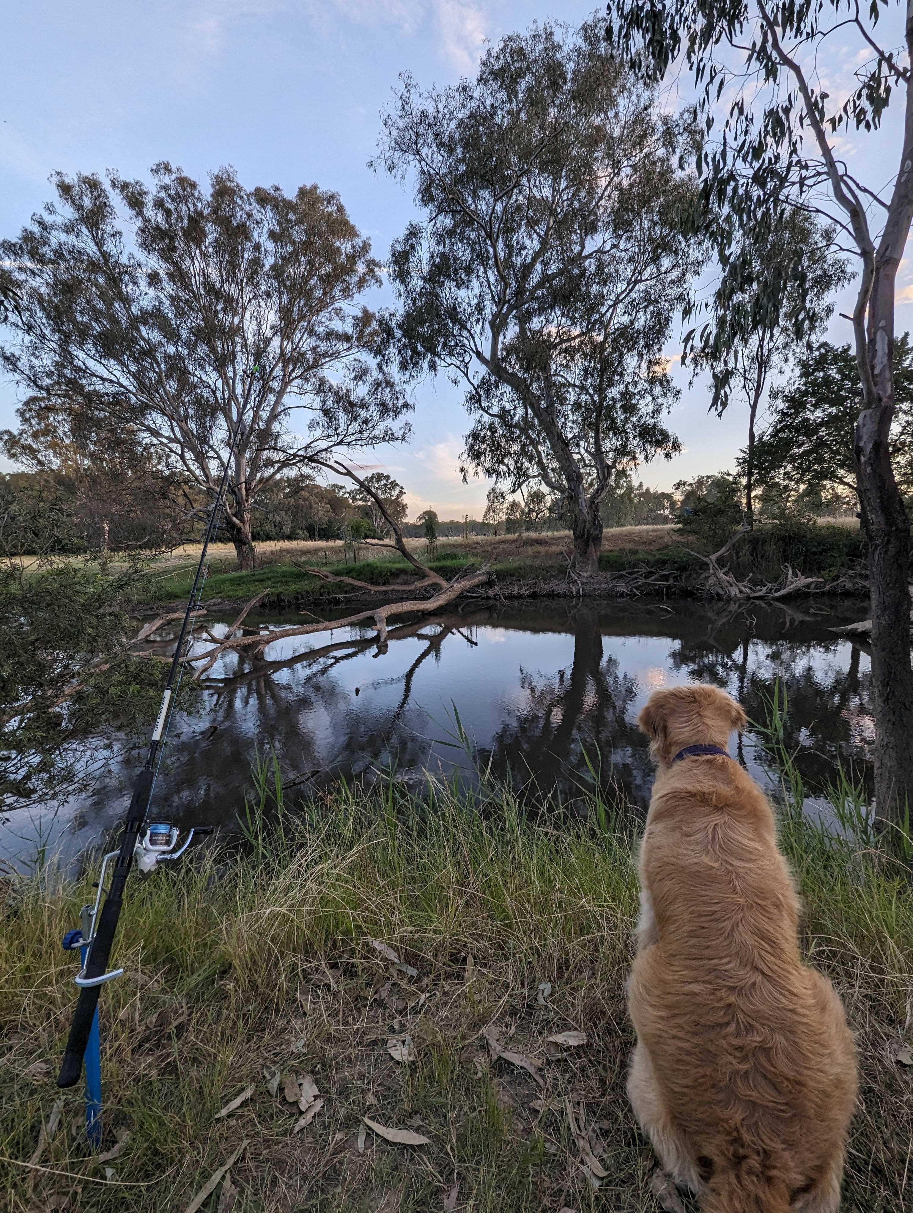 Billabong Flats Farm