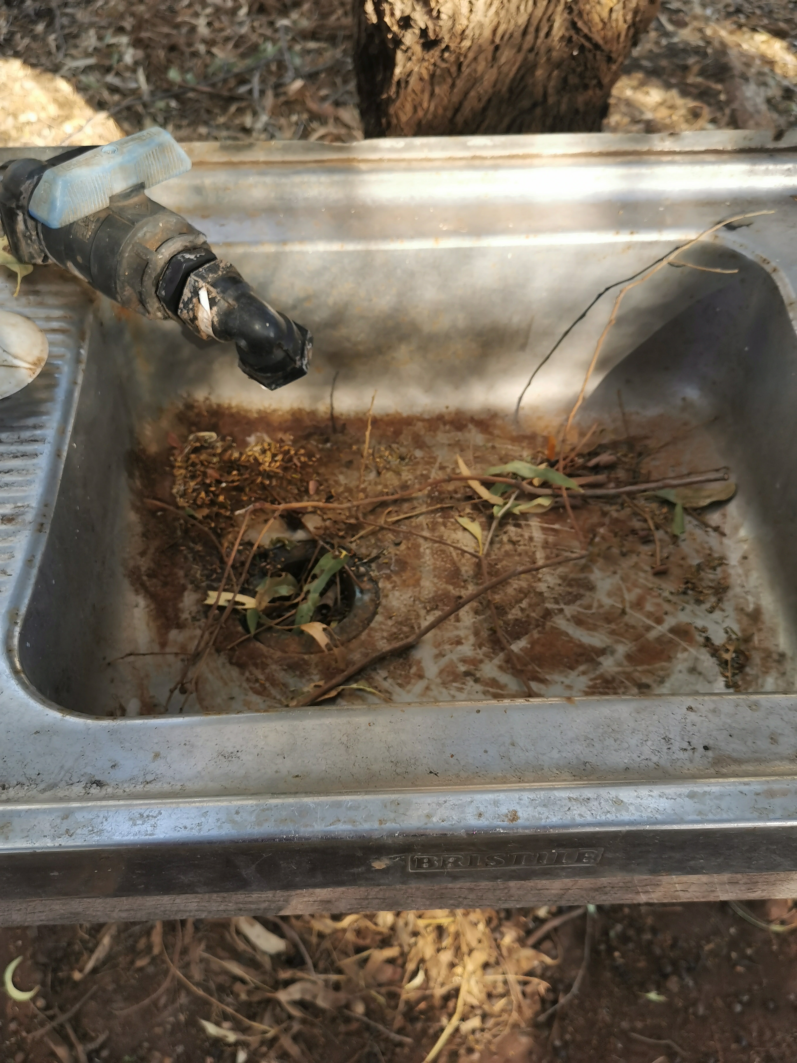 The sink! 