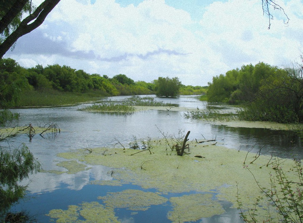 Resaca de la Palma State Park