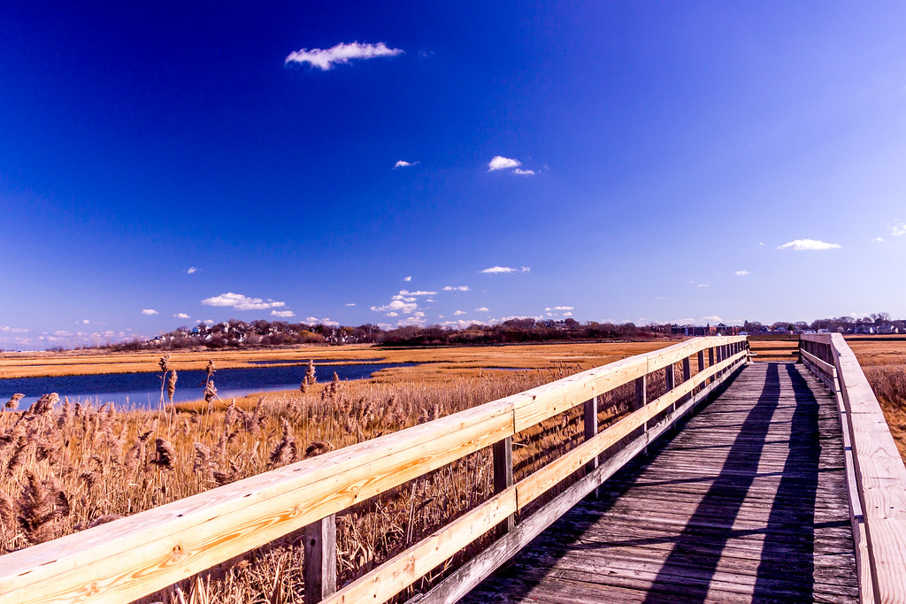 Belle Isle Marsh Reservation