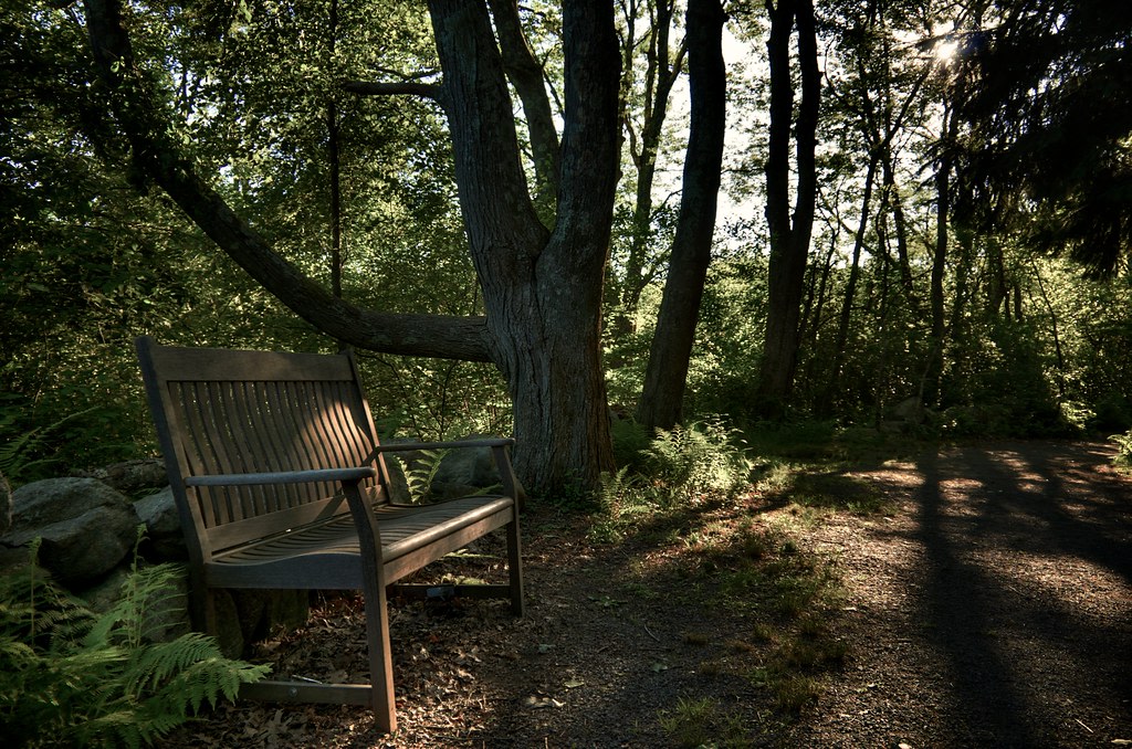 Bristol Blake State Reservation