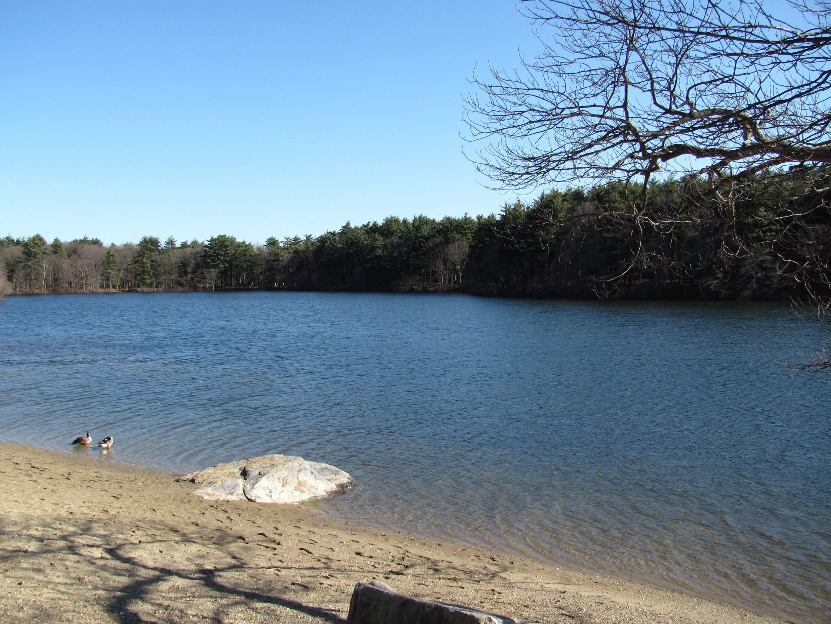 Houghton's Pond Recreation Area
