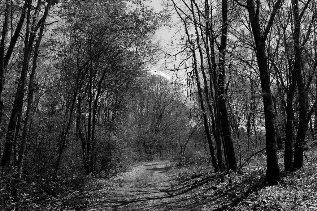 Neponset River Reservation