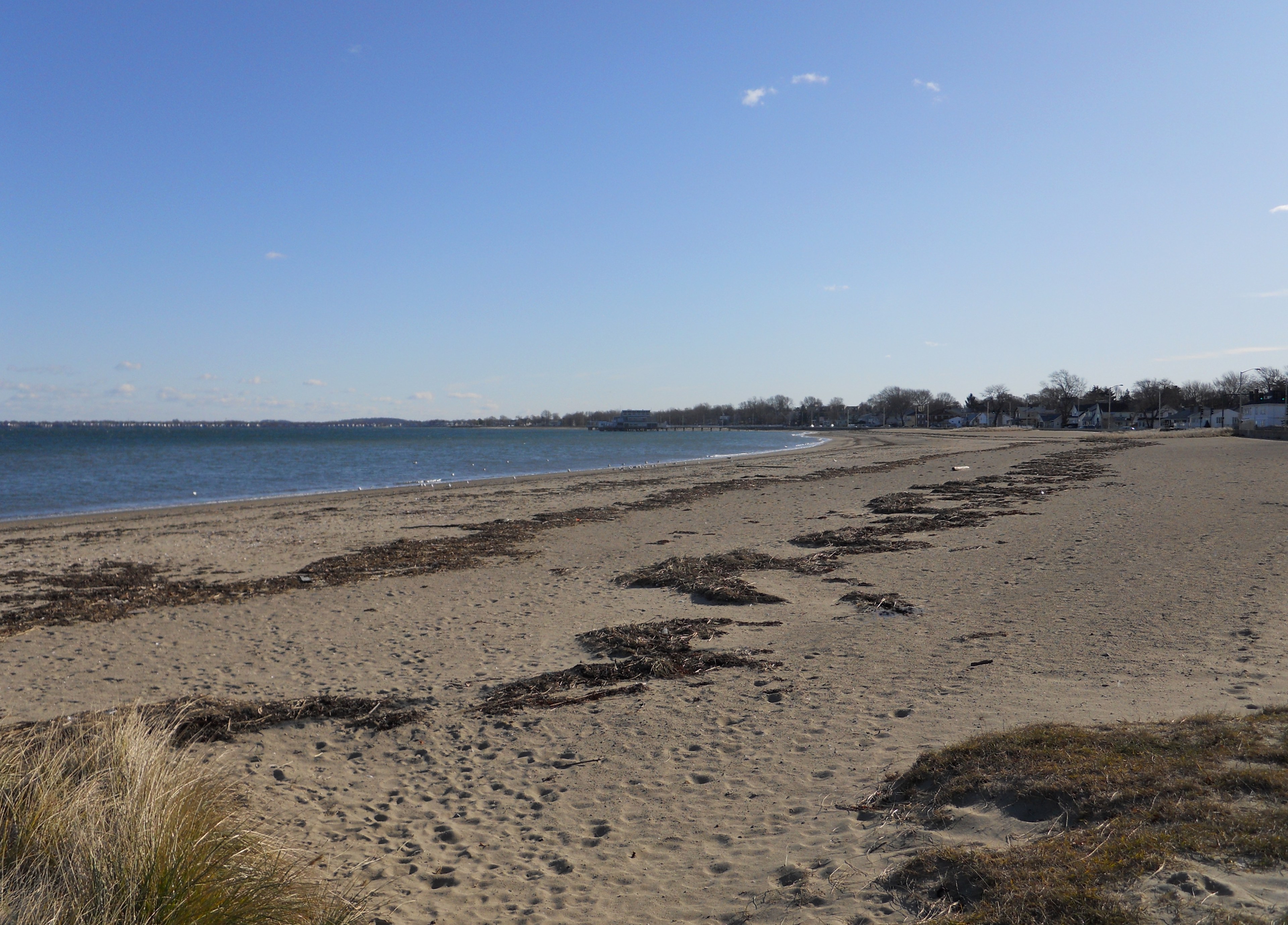 Quincy Shores Reservation