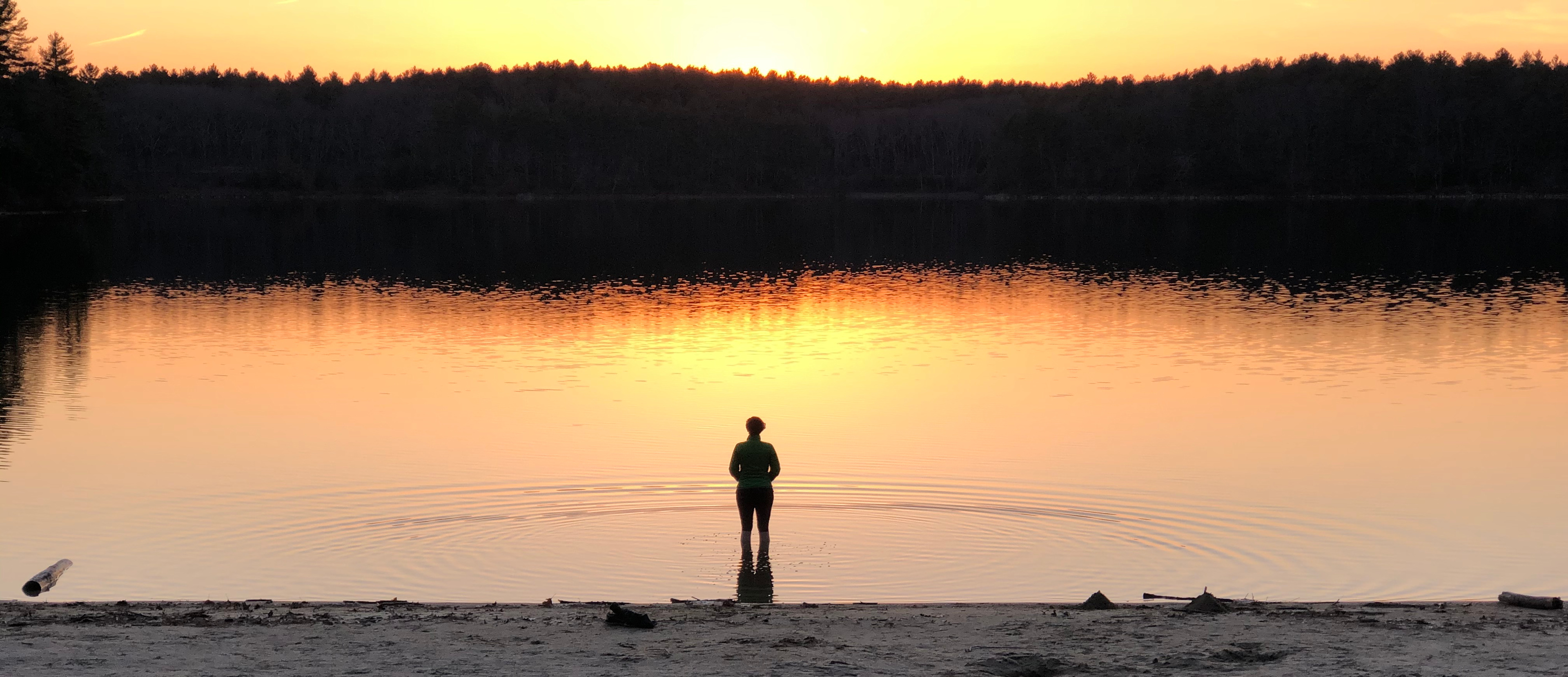 Walden Pond State Reservation