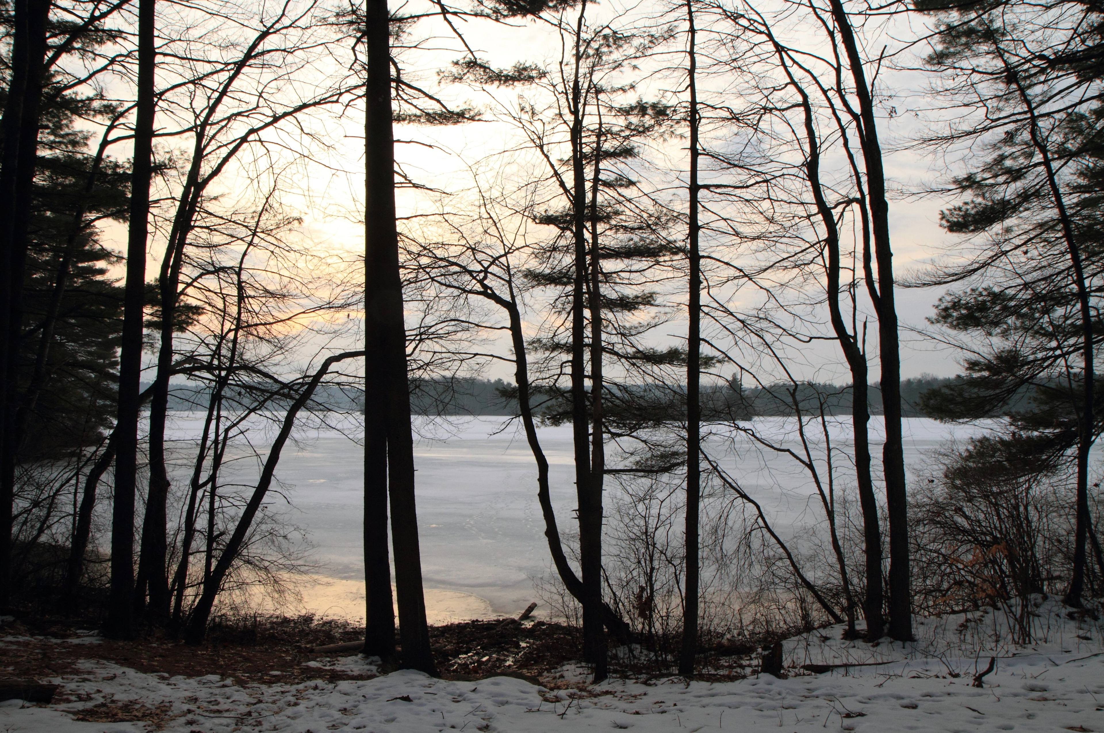 Whitehall State Park