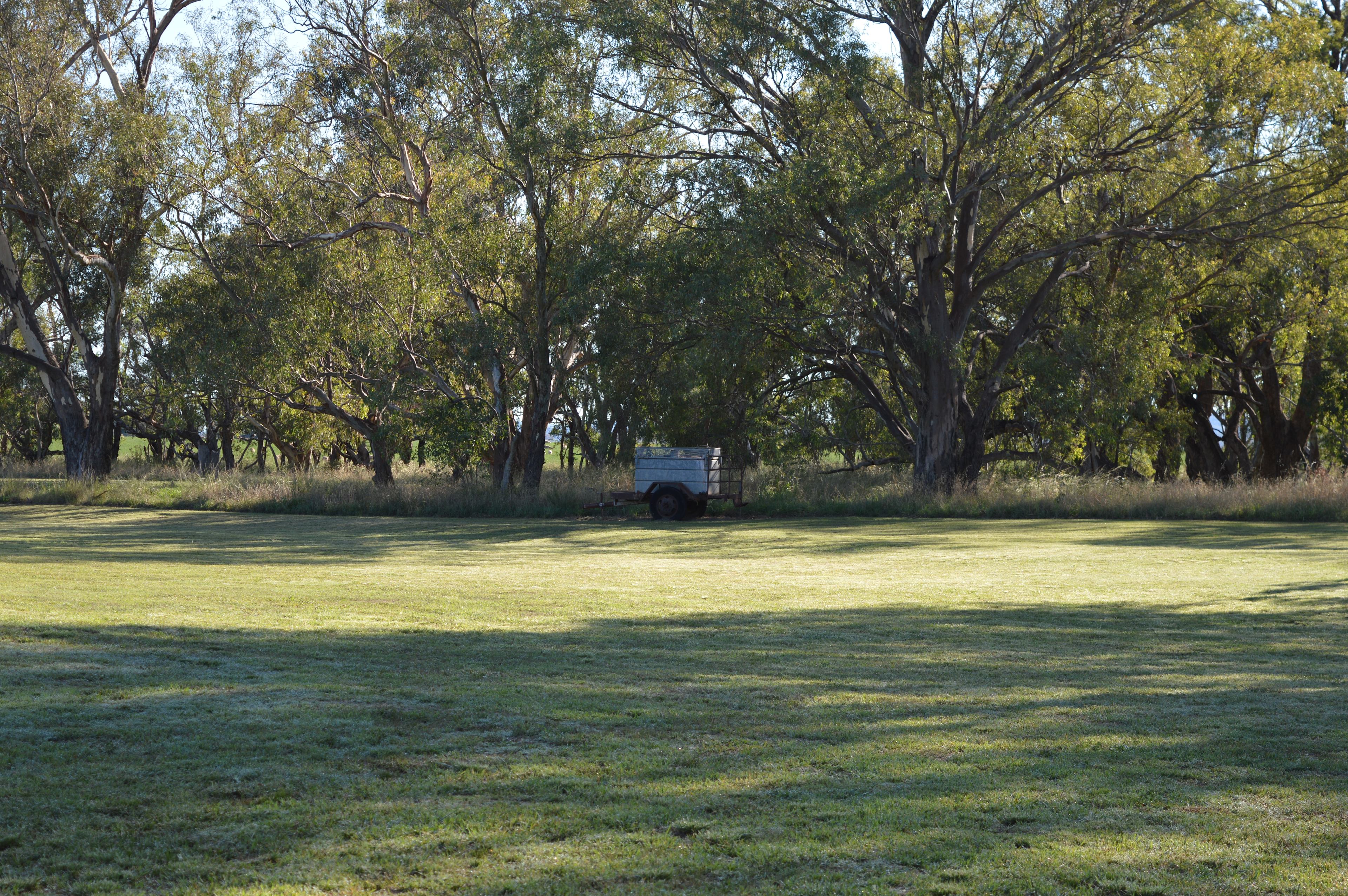 Wendouree Creek Camp
