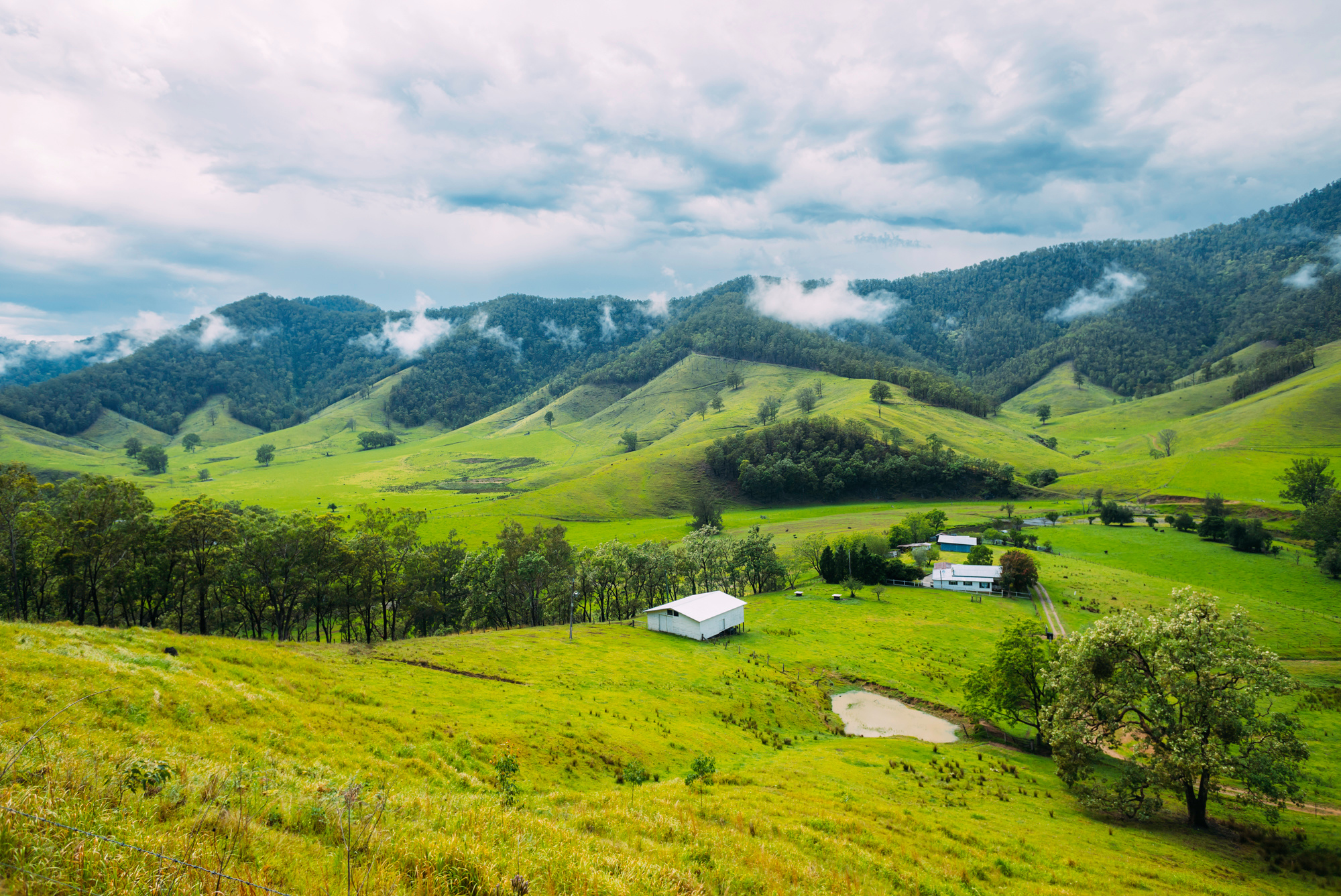 Switzerland or Cunnawarra National Park? On the way out of the property