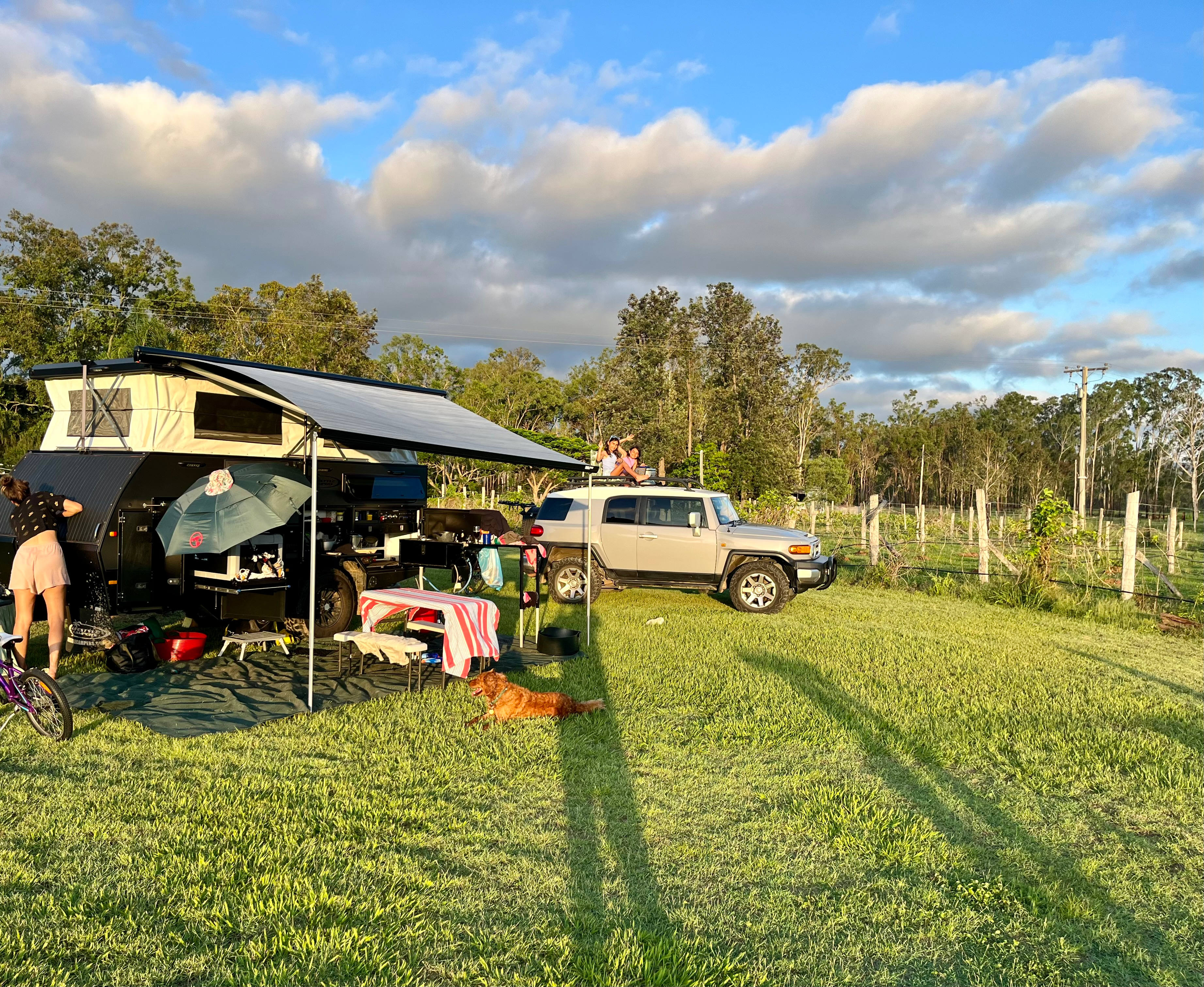 Setup near the grape vines having mango smoothies