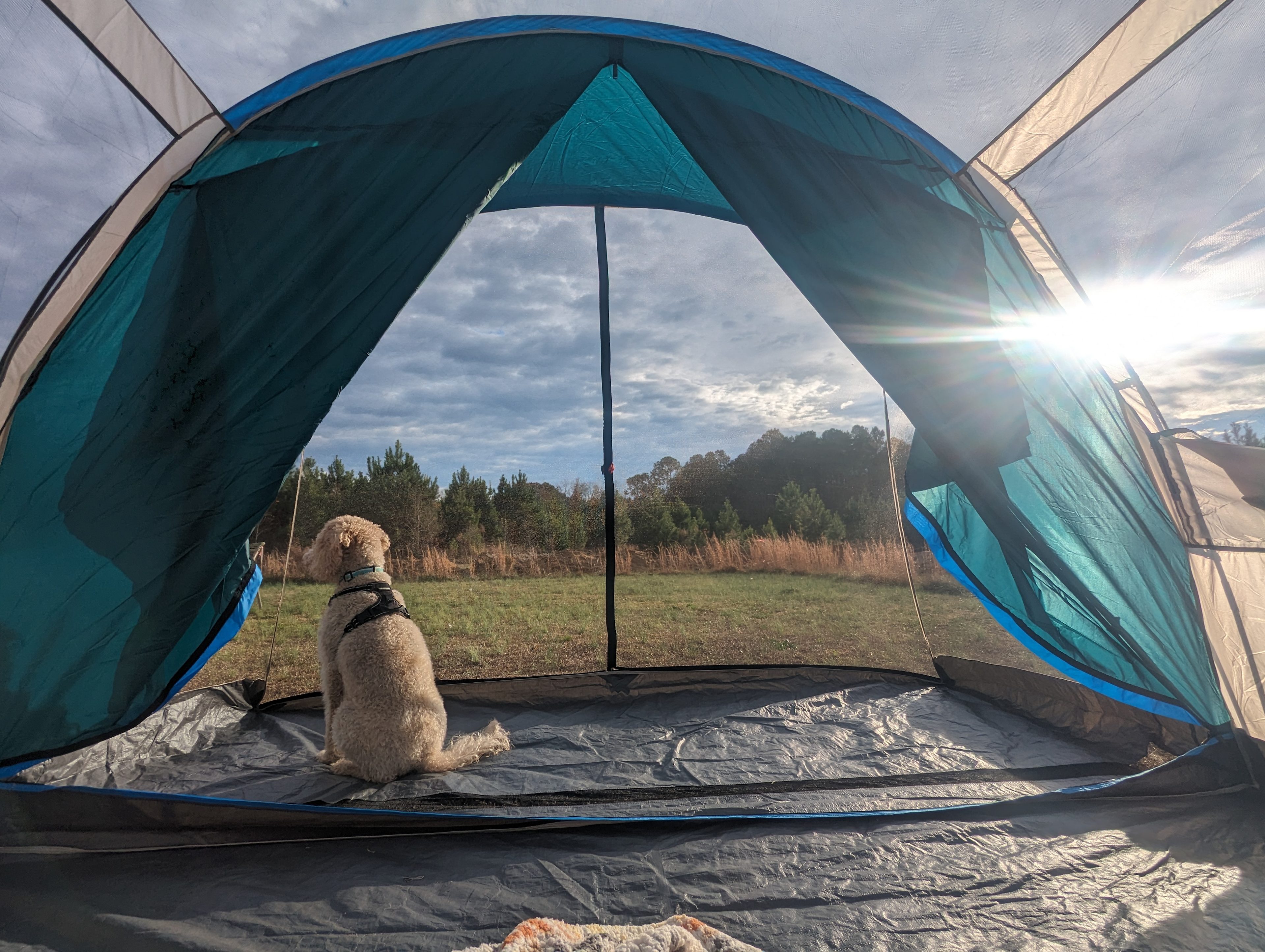 Untouched at Livingston Creek