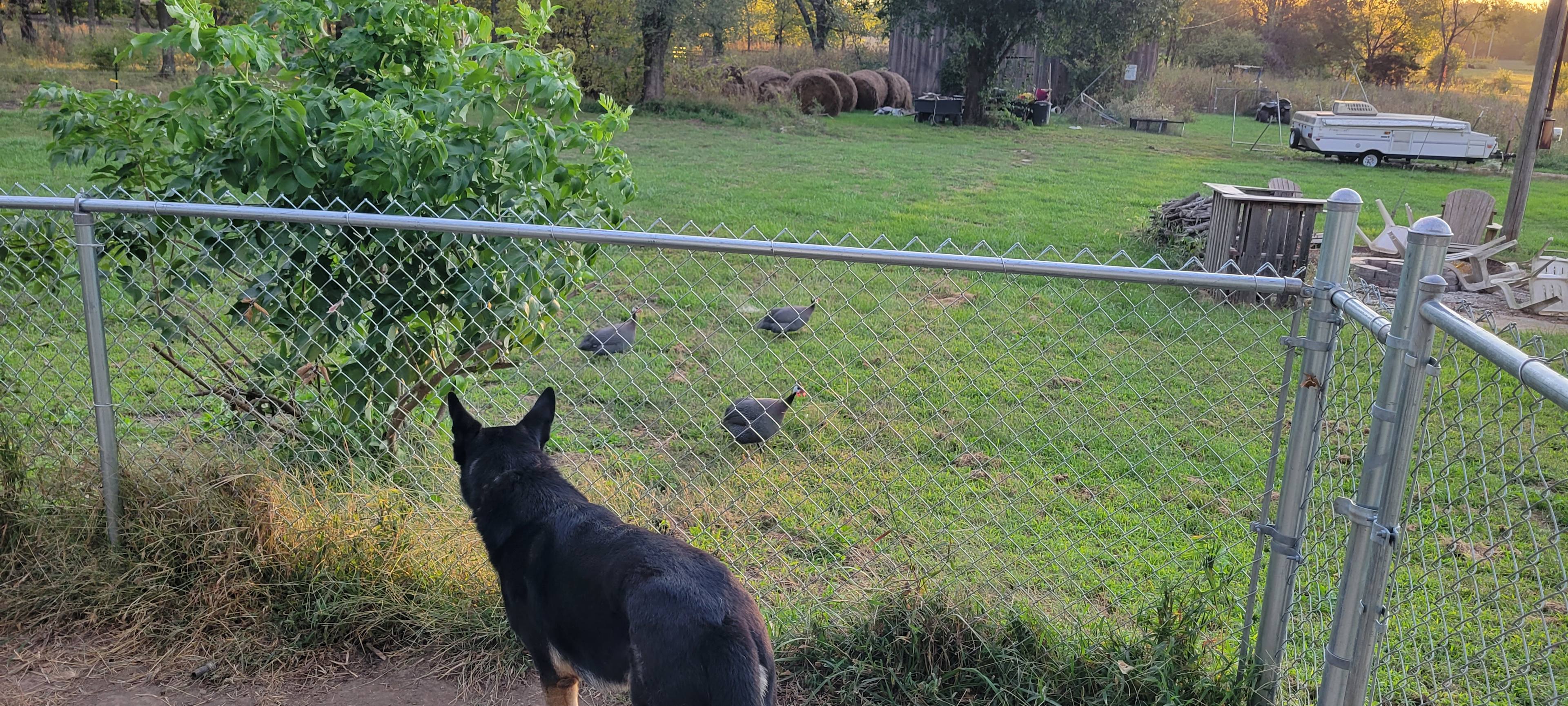 Roach Ranch