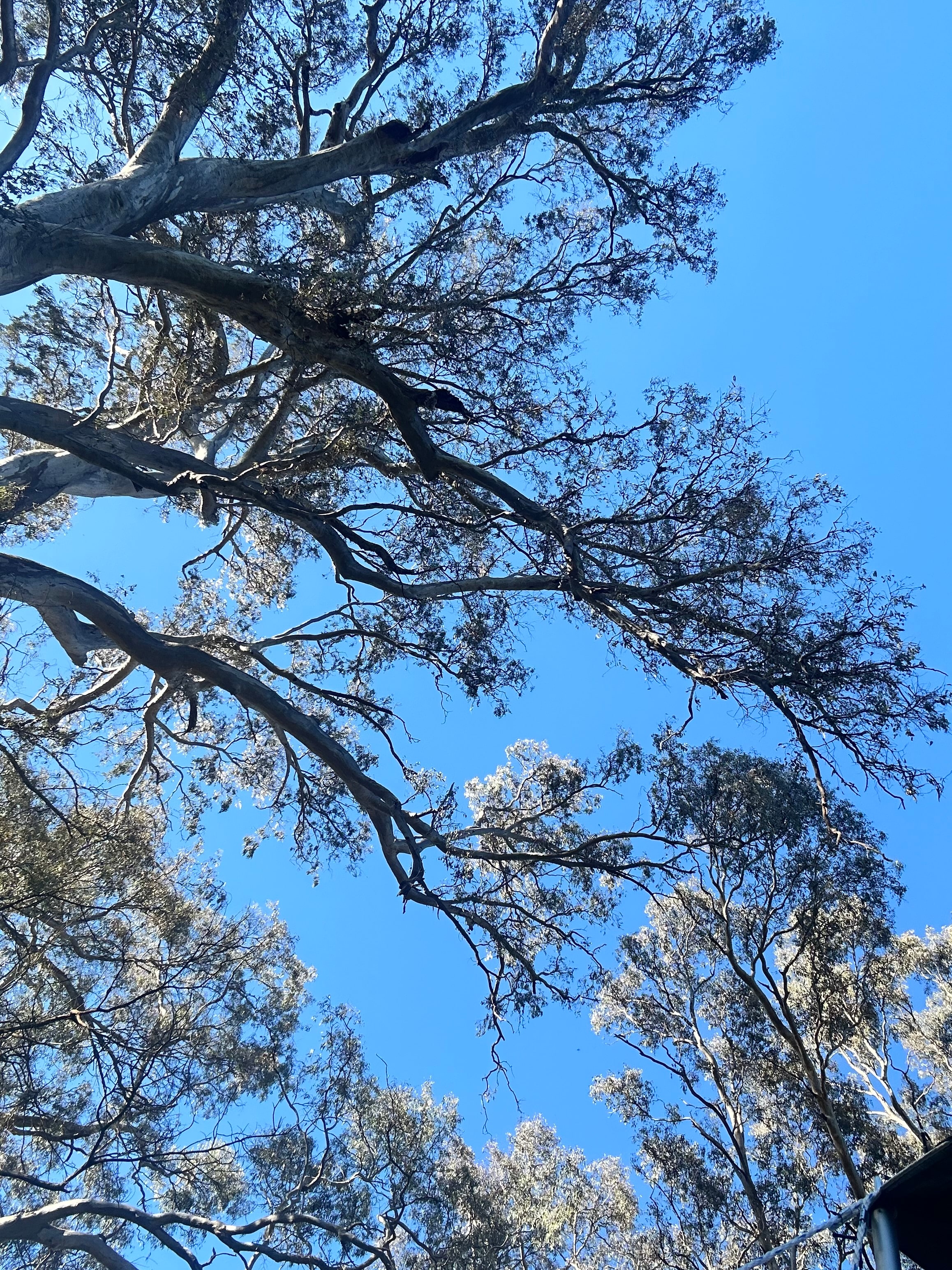 River’s Edge Estate