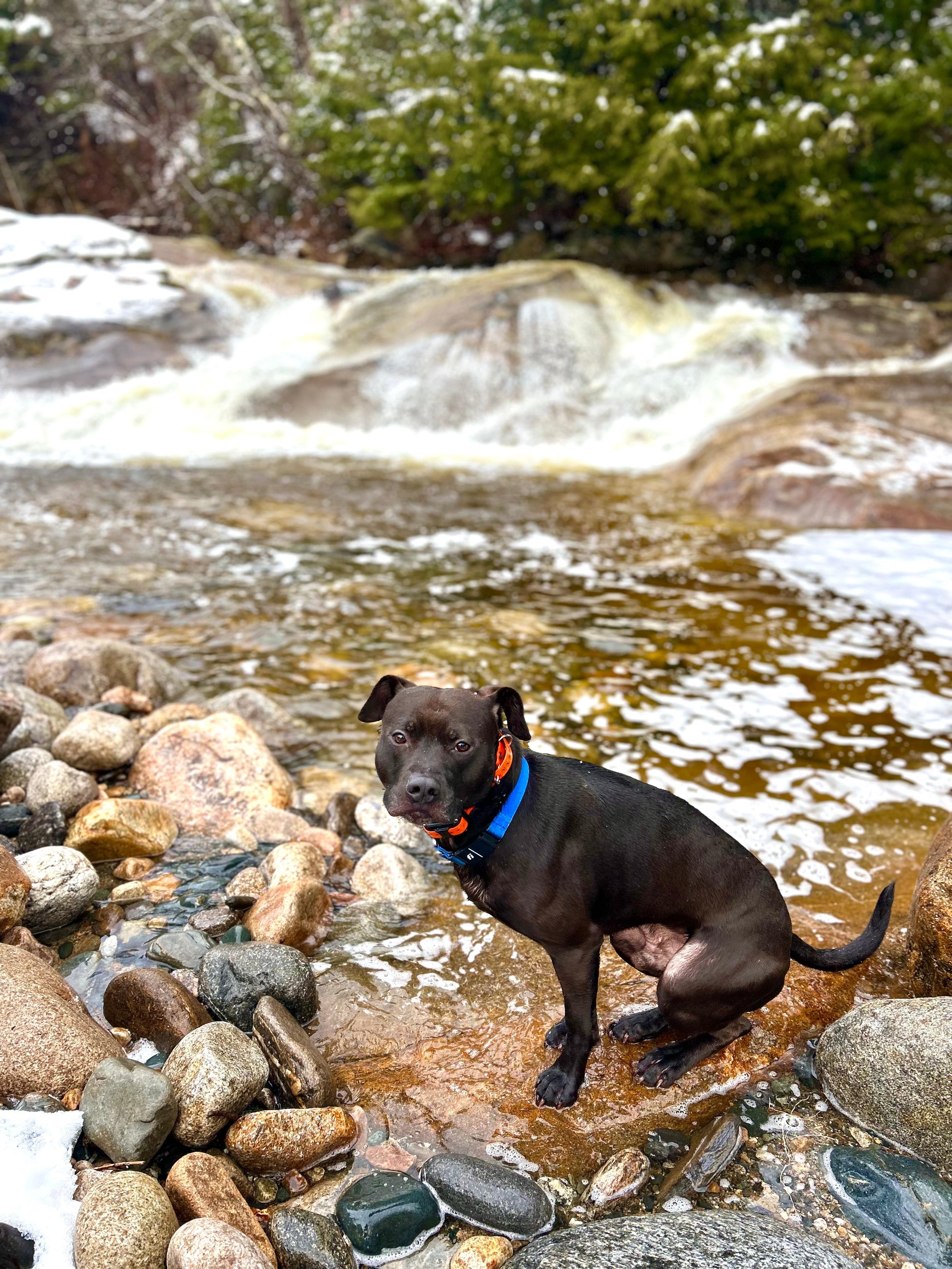 Magical Mountain River retreat