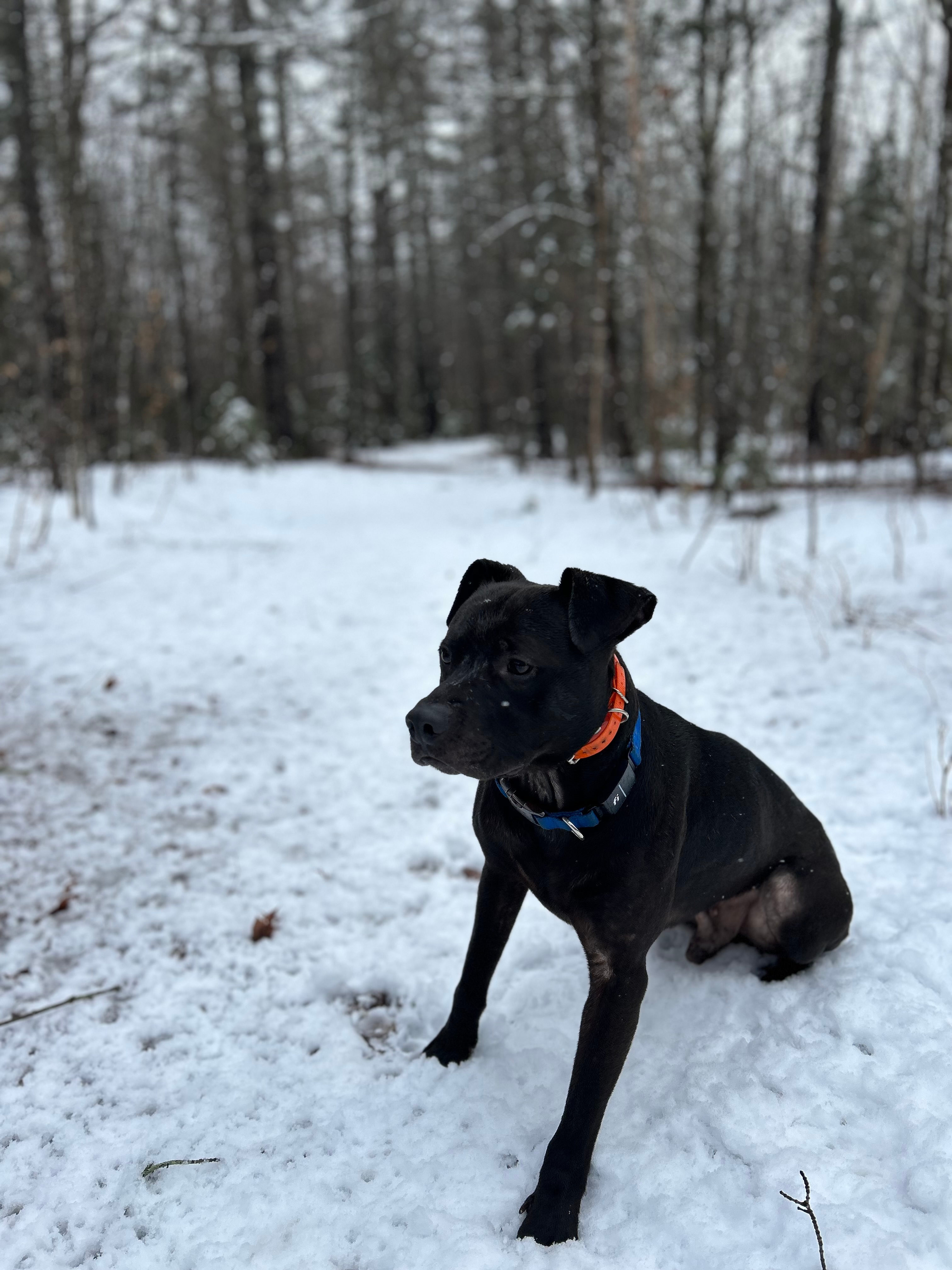 Magical Mountain River retreat