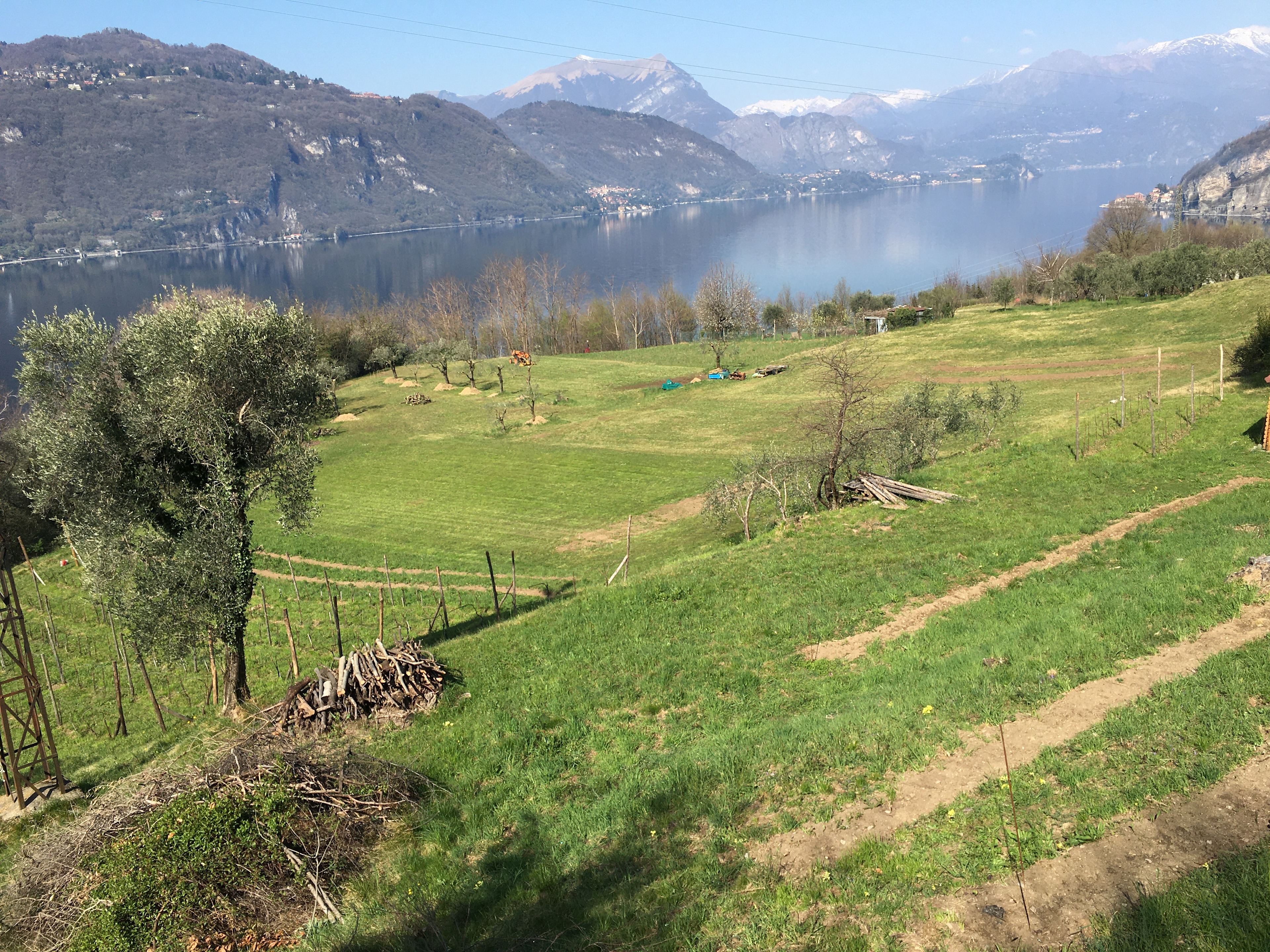 Salvadoniga Campi Claudii