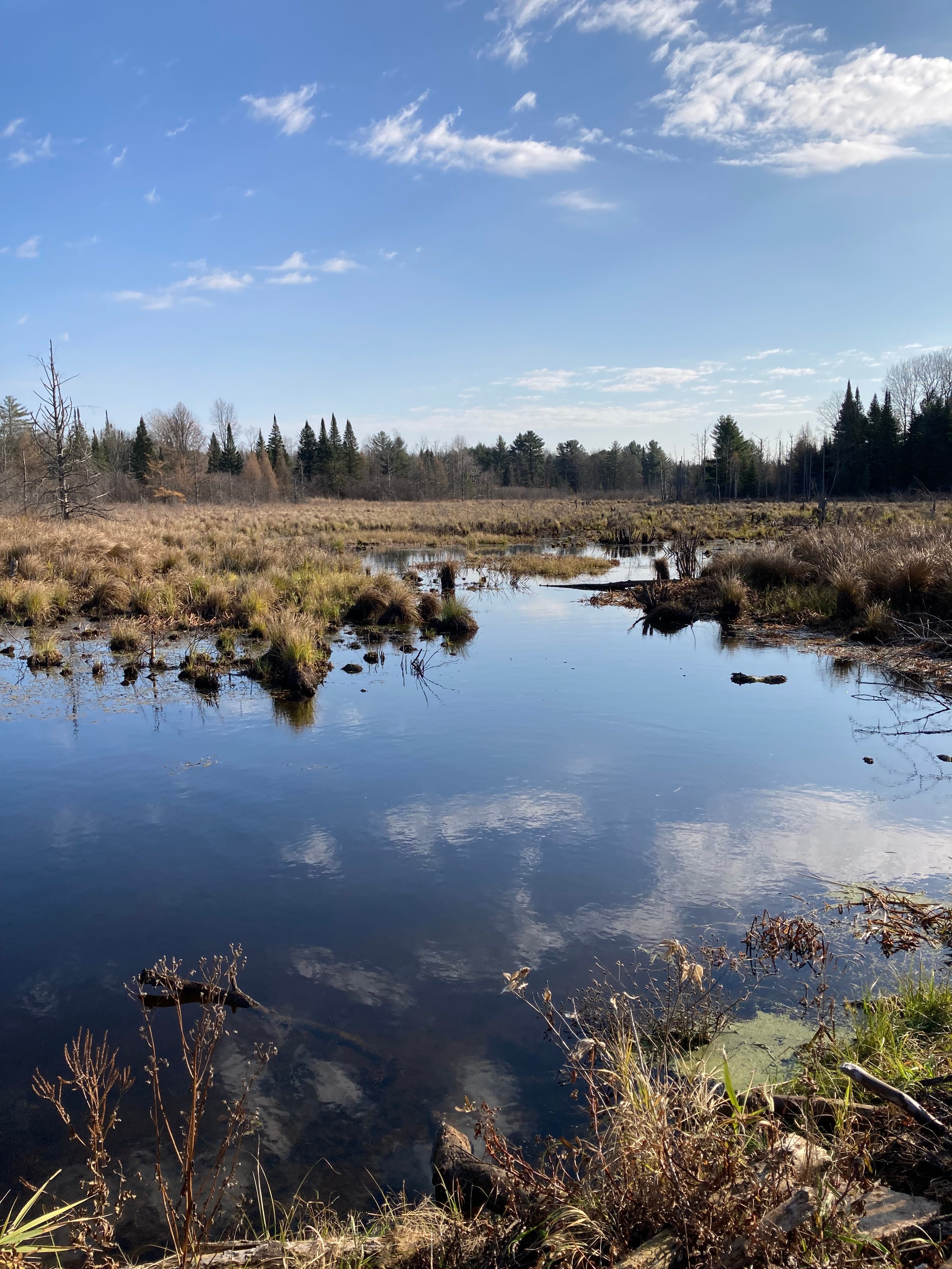 Ricky’s Pine River hunt/camp