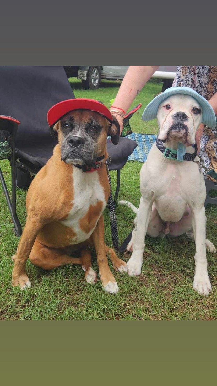 Oxley Riverside Campsites