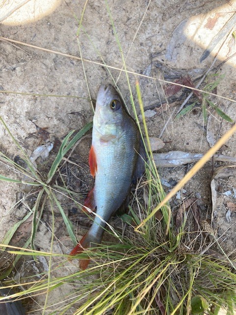 Seven Hills Tallarook