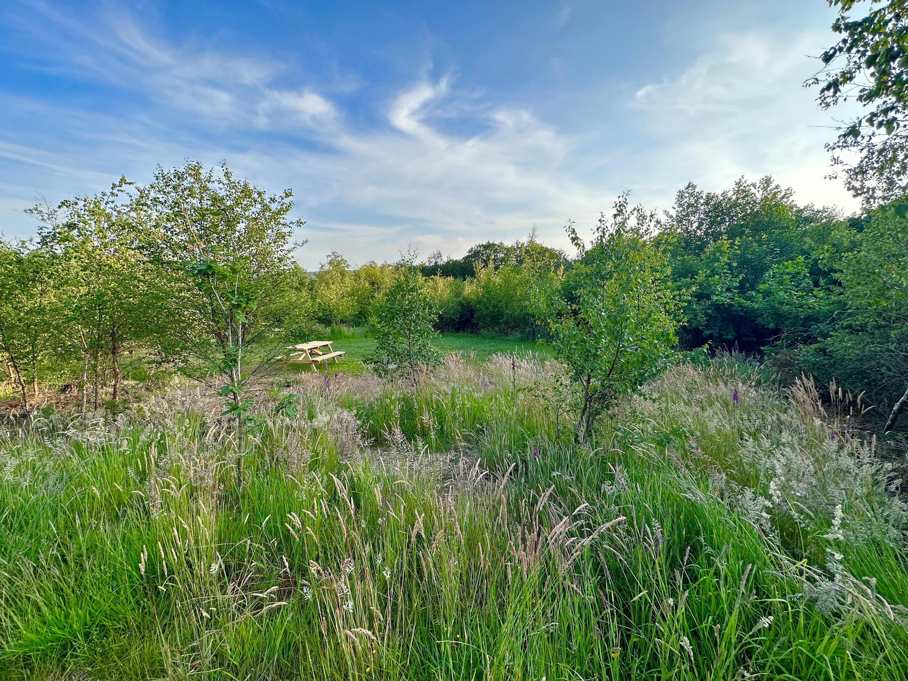 Landsker Camping