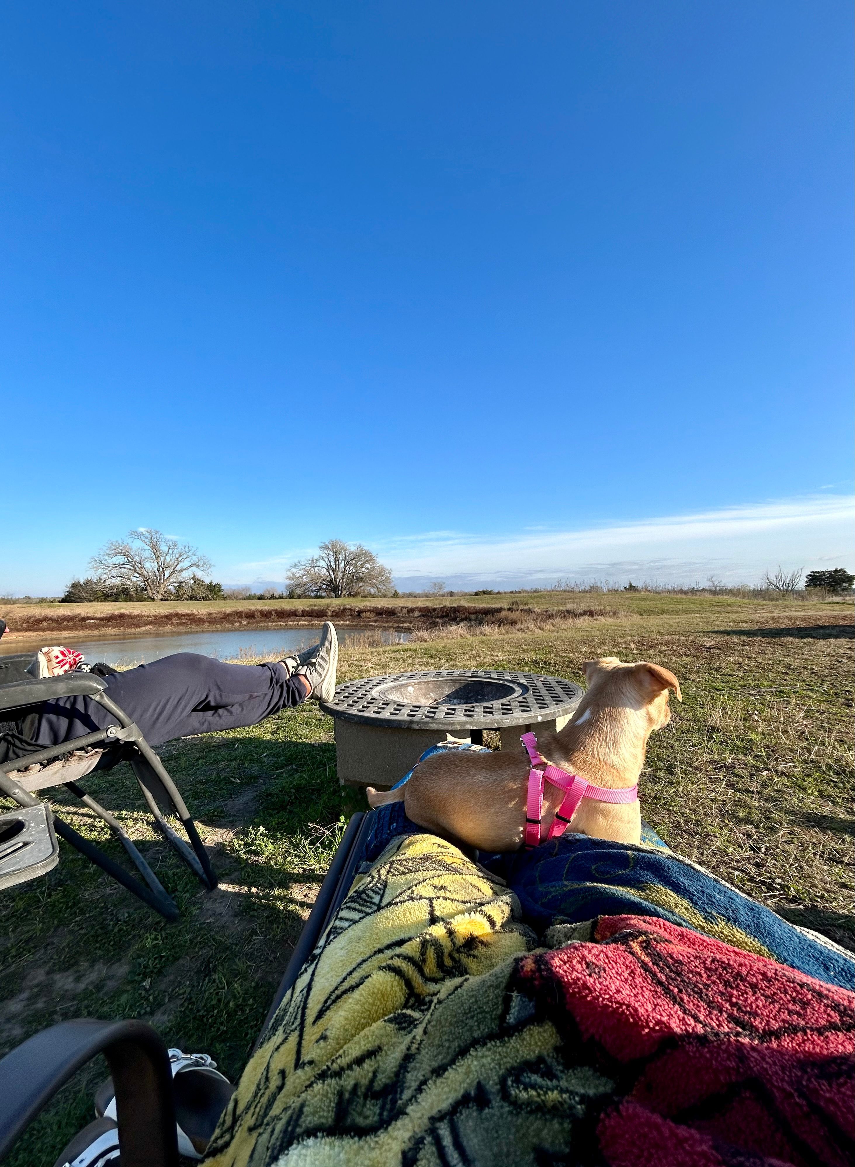 Be the Bee @ Emerald Acres 