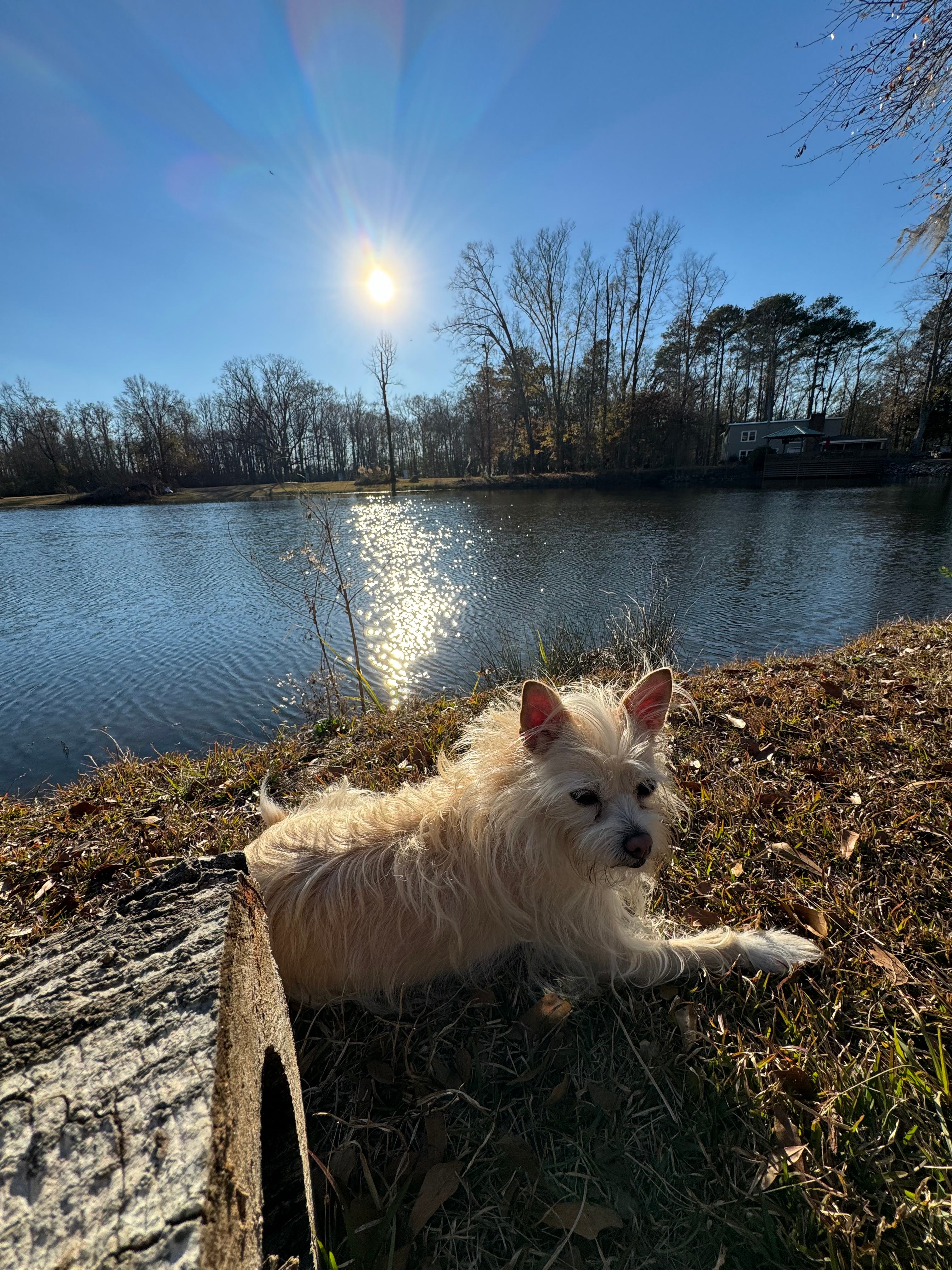 Peace, Ponies, Ponds @ Pinchona