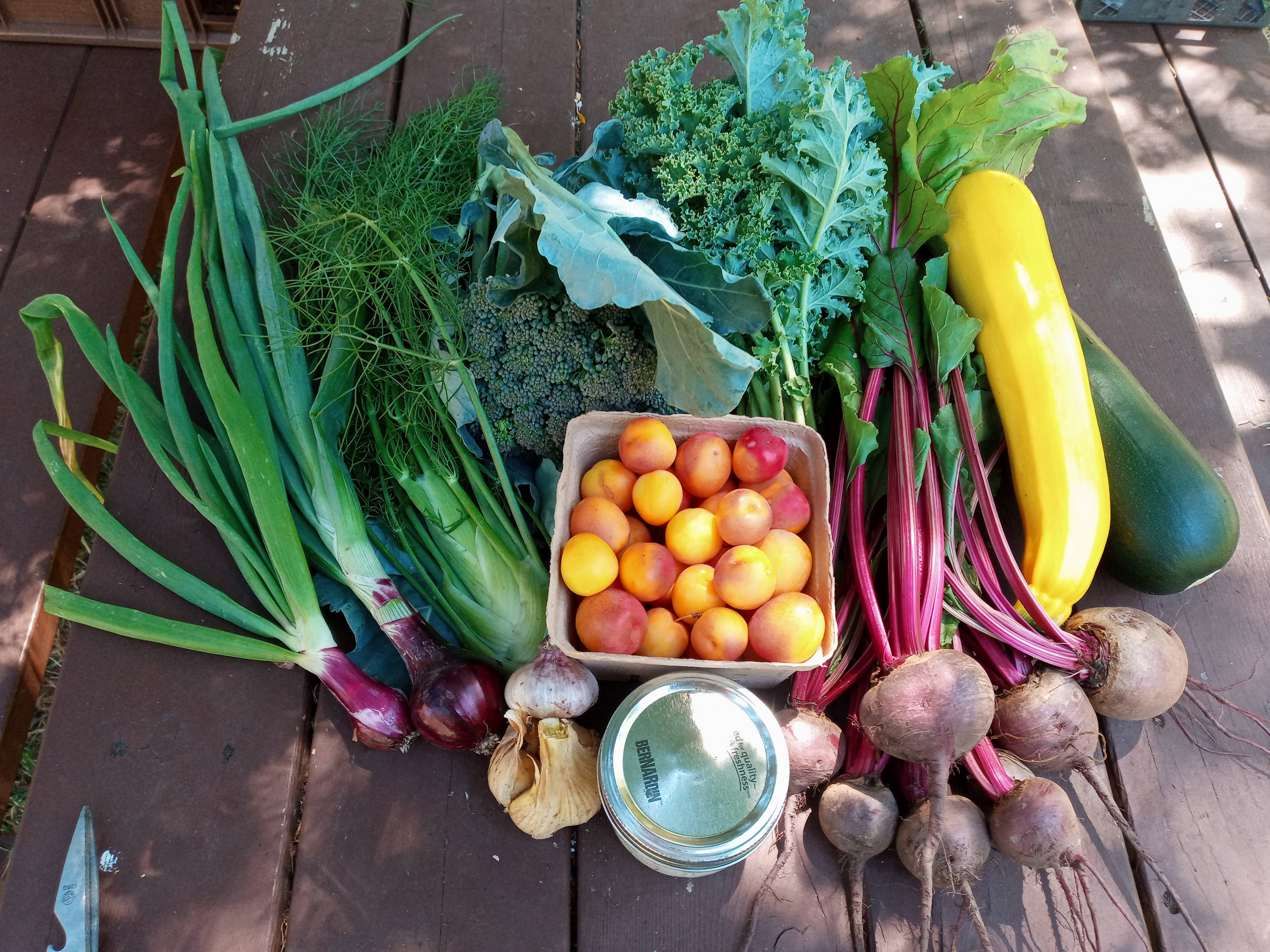 Hidden Pond Permaculture Farm
