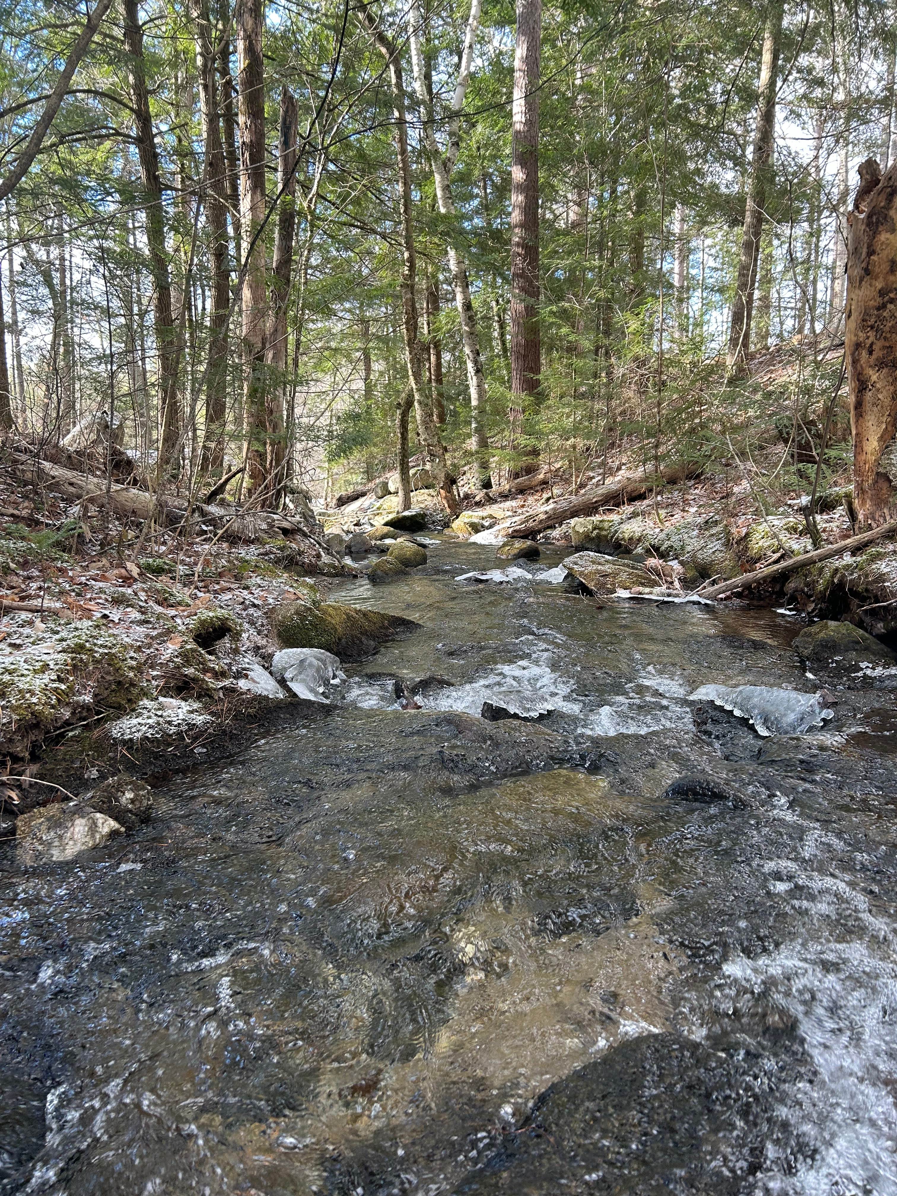Dugout HideAway@ Granny Clark Brook