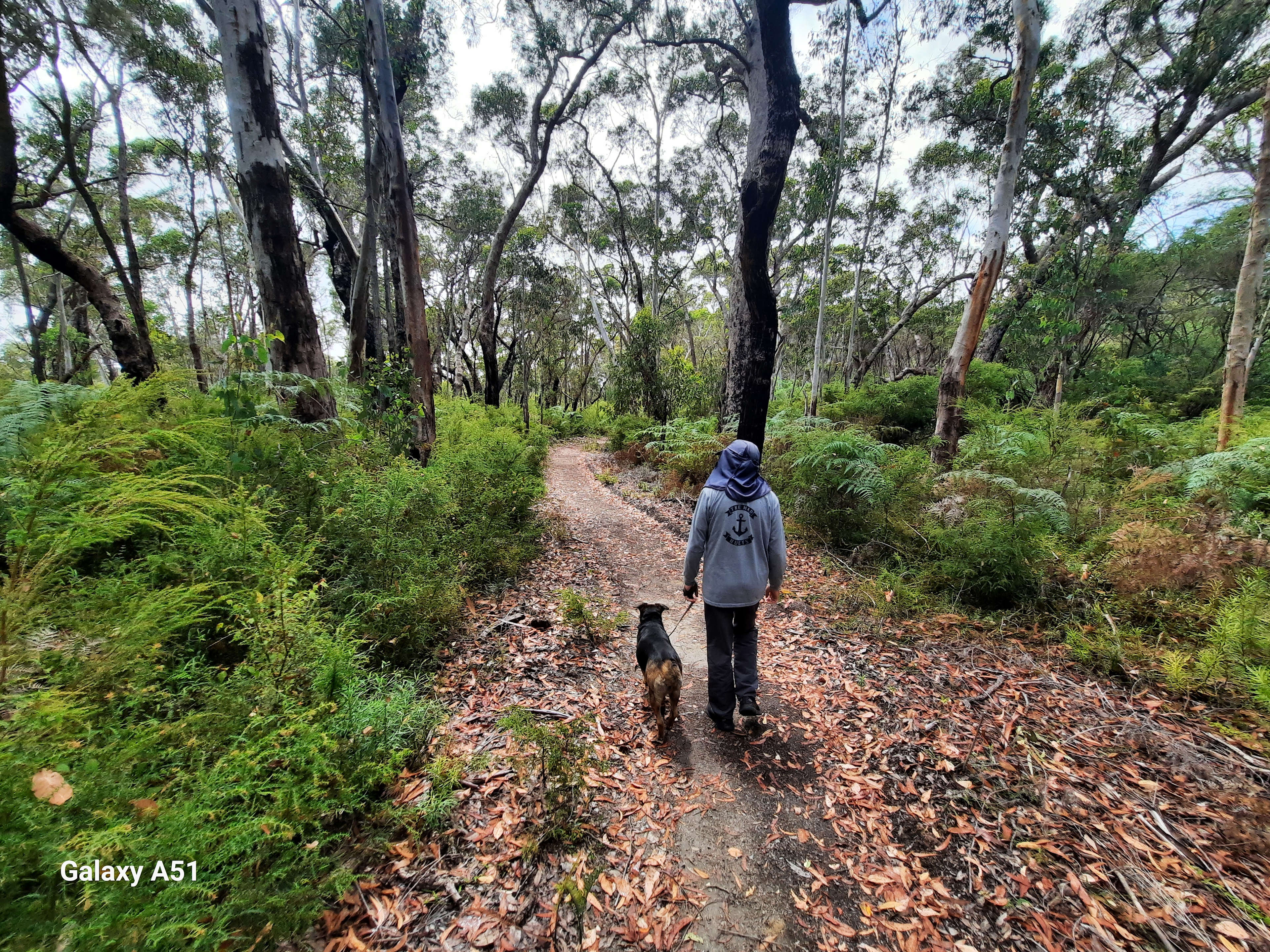 Northcliffe Deluxe Bush Camp