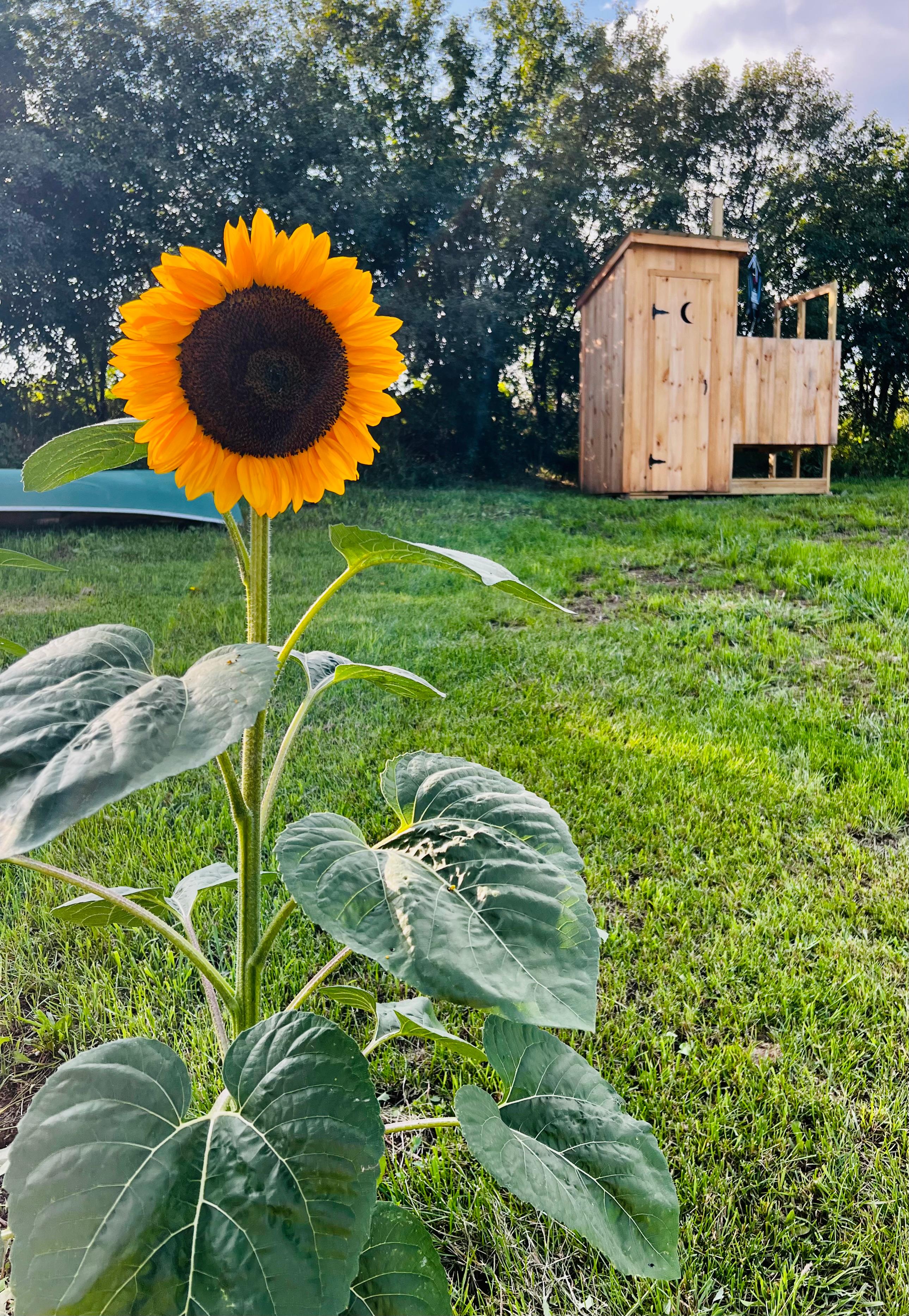 Hot Dot’s Retreat On East Creek A