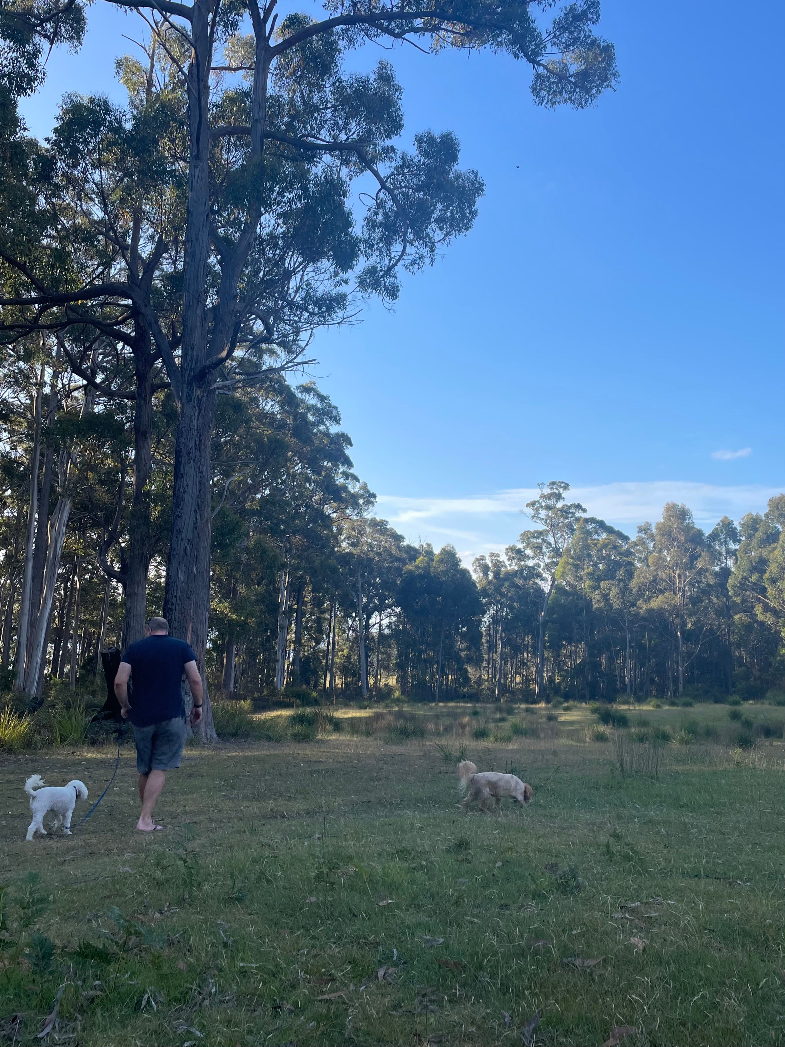 Bruny Island Bush Camp