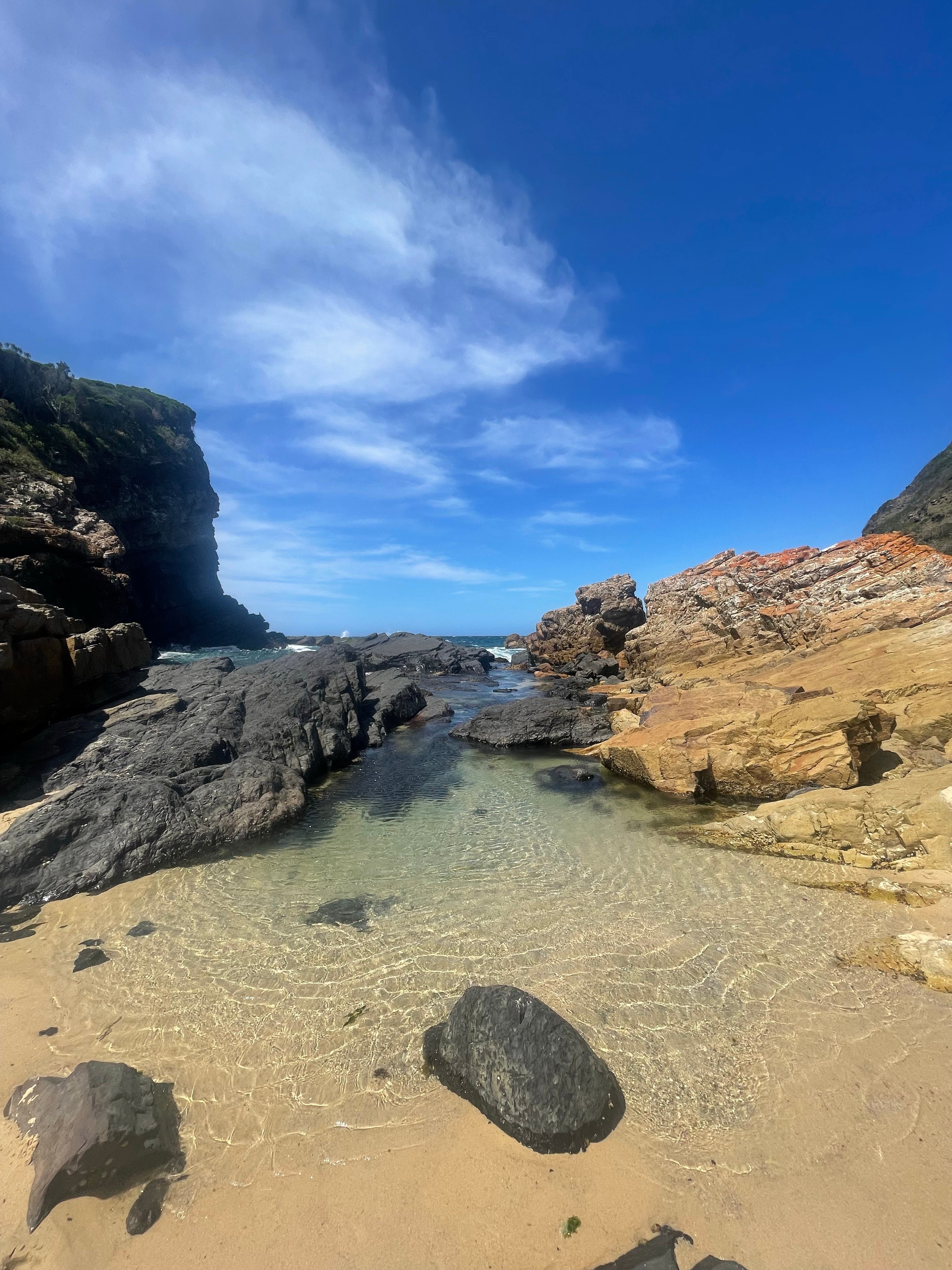 SeaForest Sanctuary