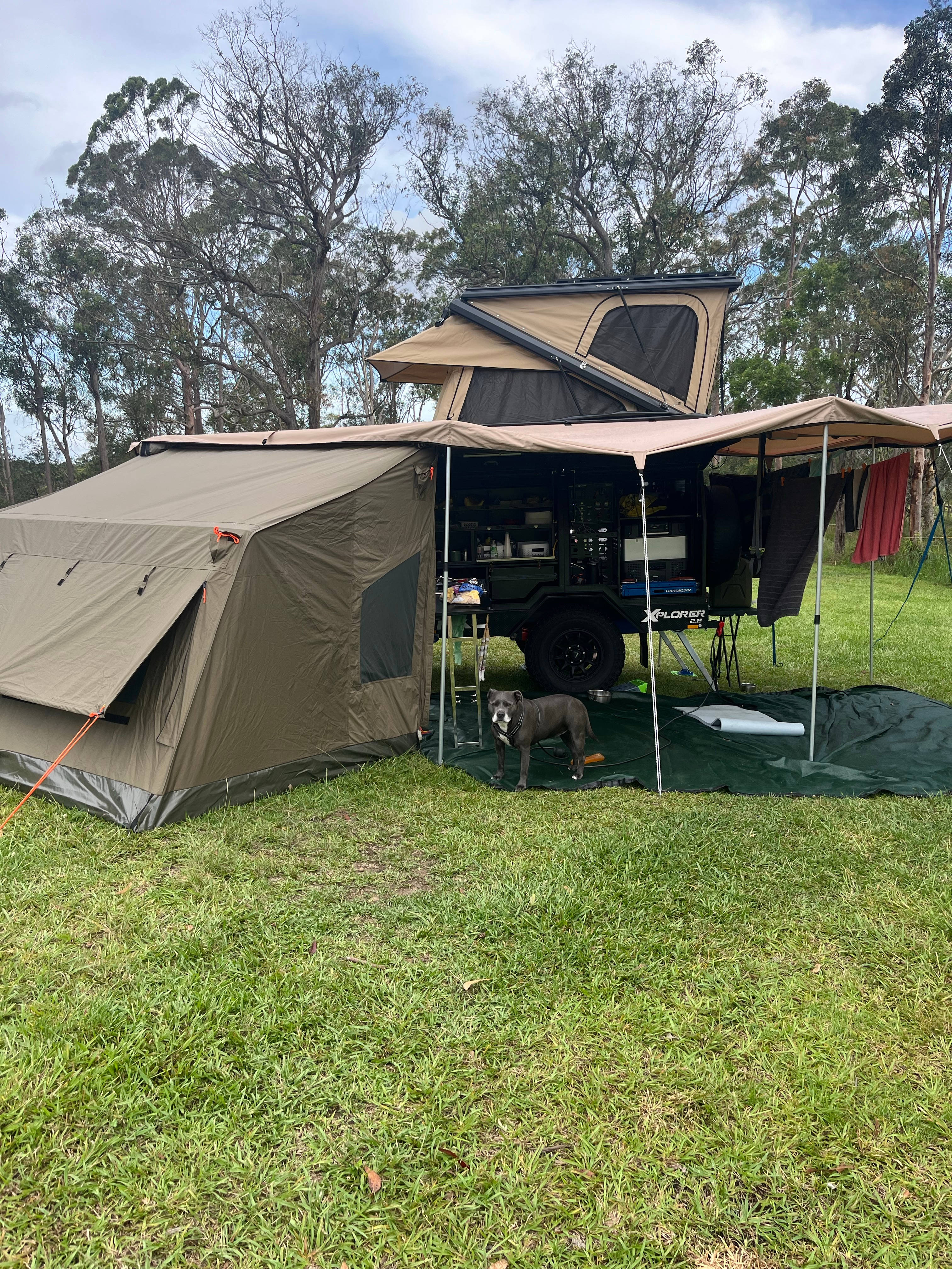 Mt Nellinda Campsite