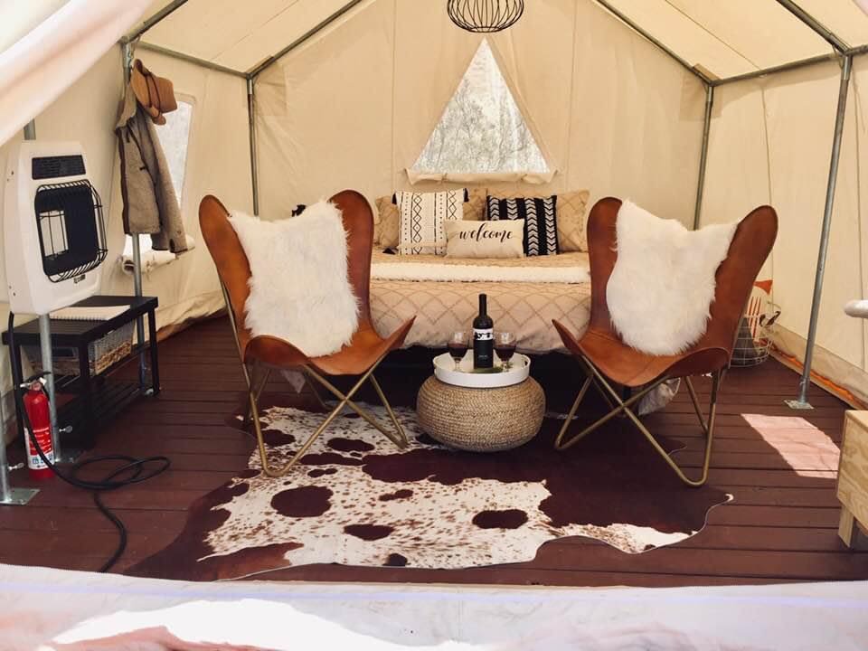 Camp Stargazer