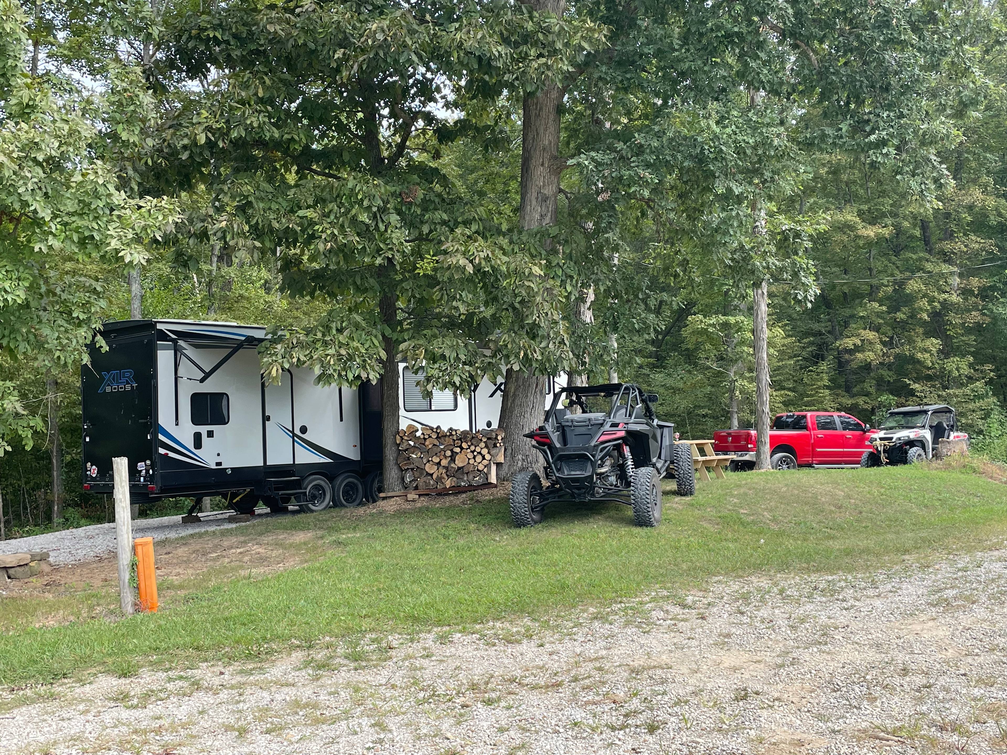 Old Camp At Bear Hollow