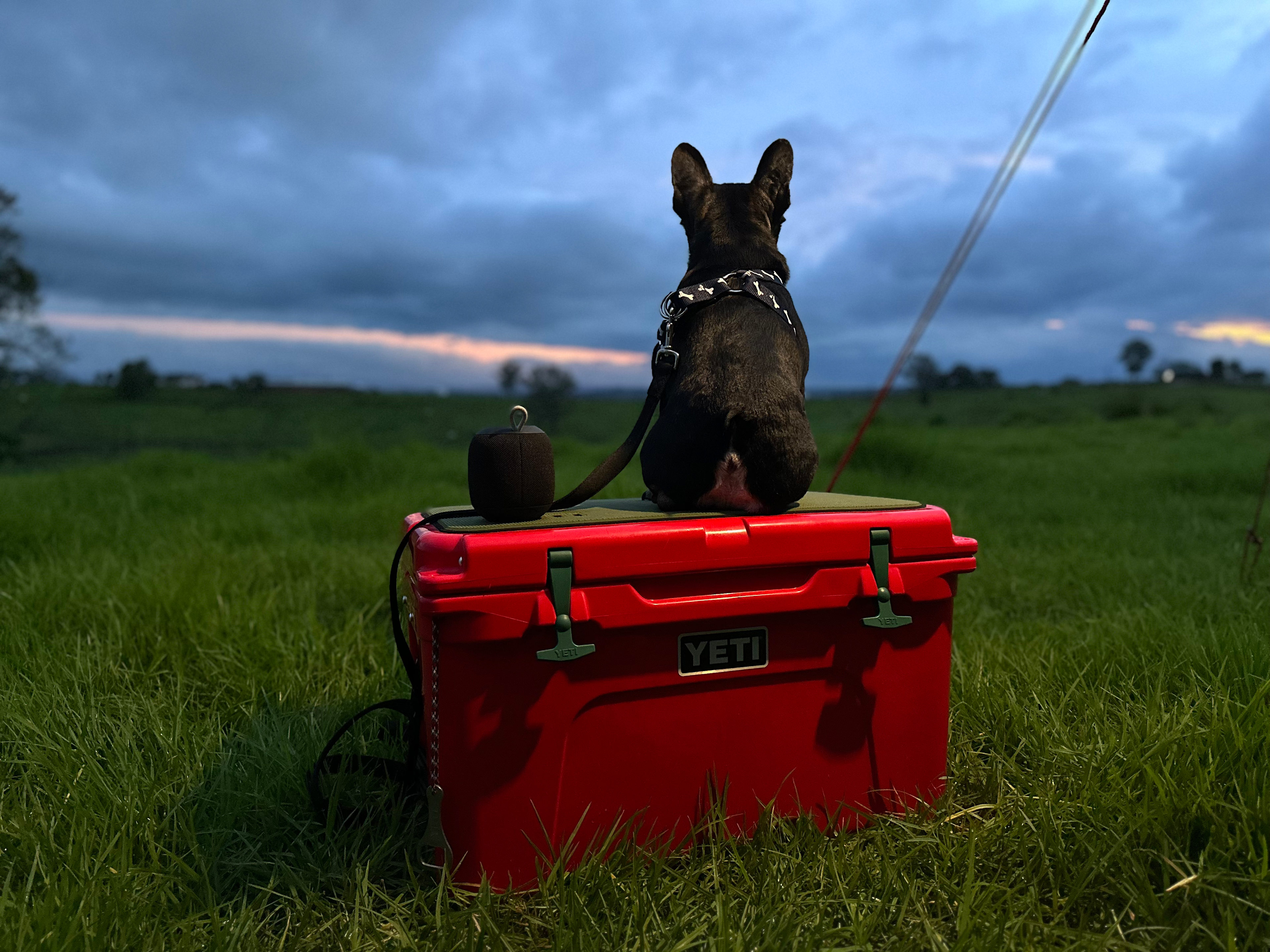 Above Syd at Trigonometry point