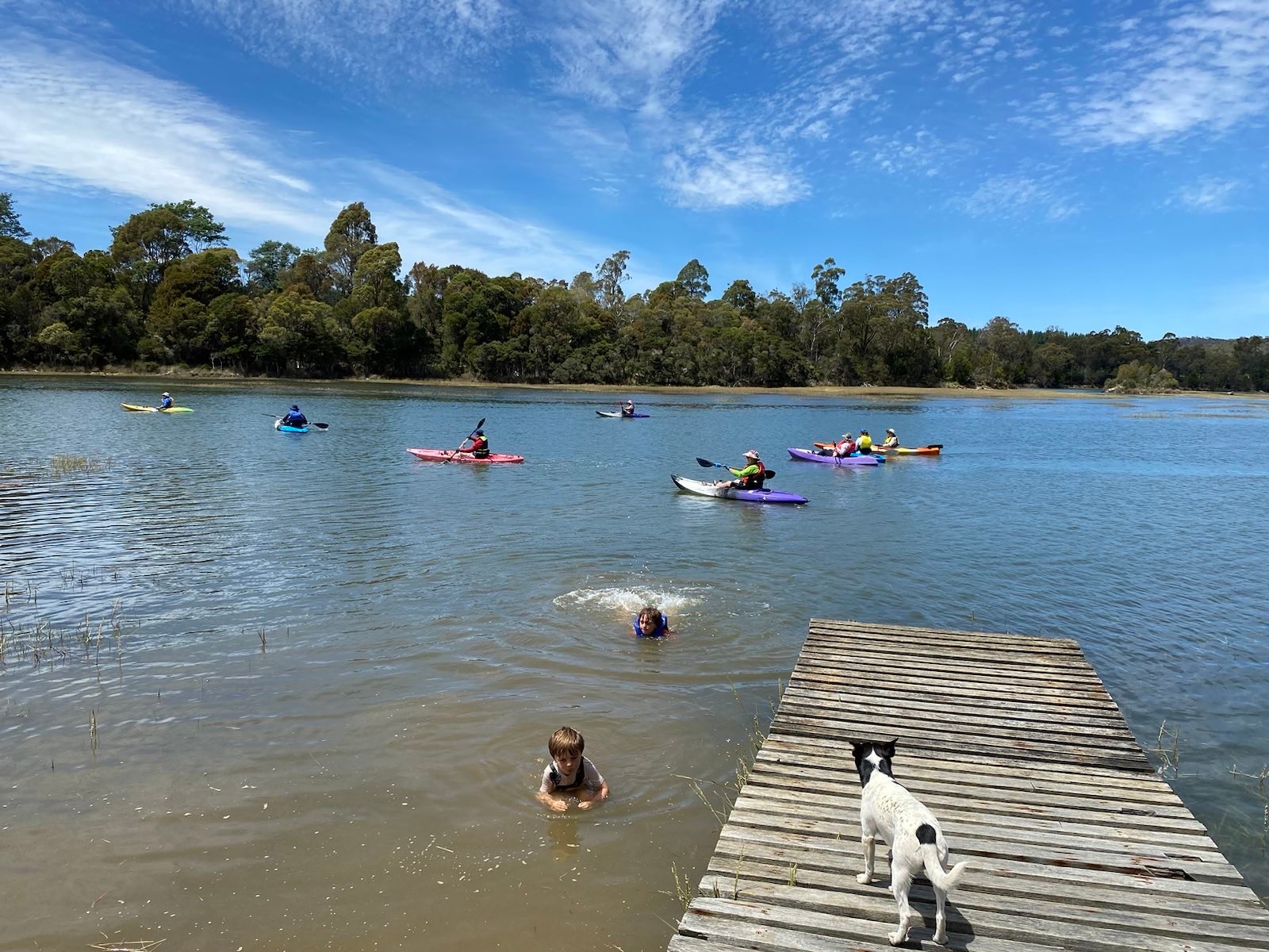 Farm on Franklin - Tasmania