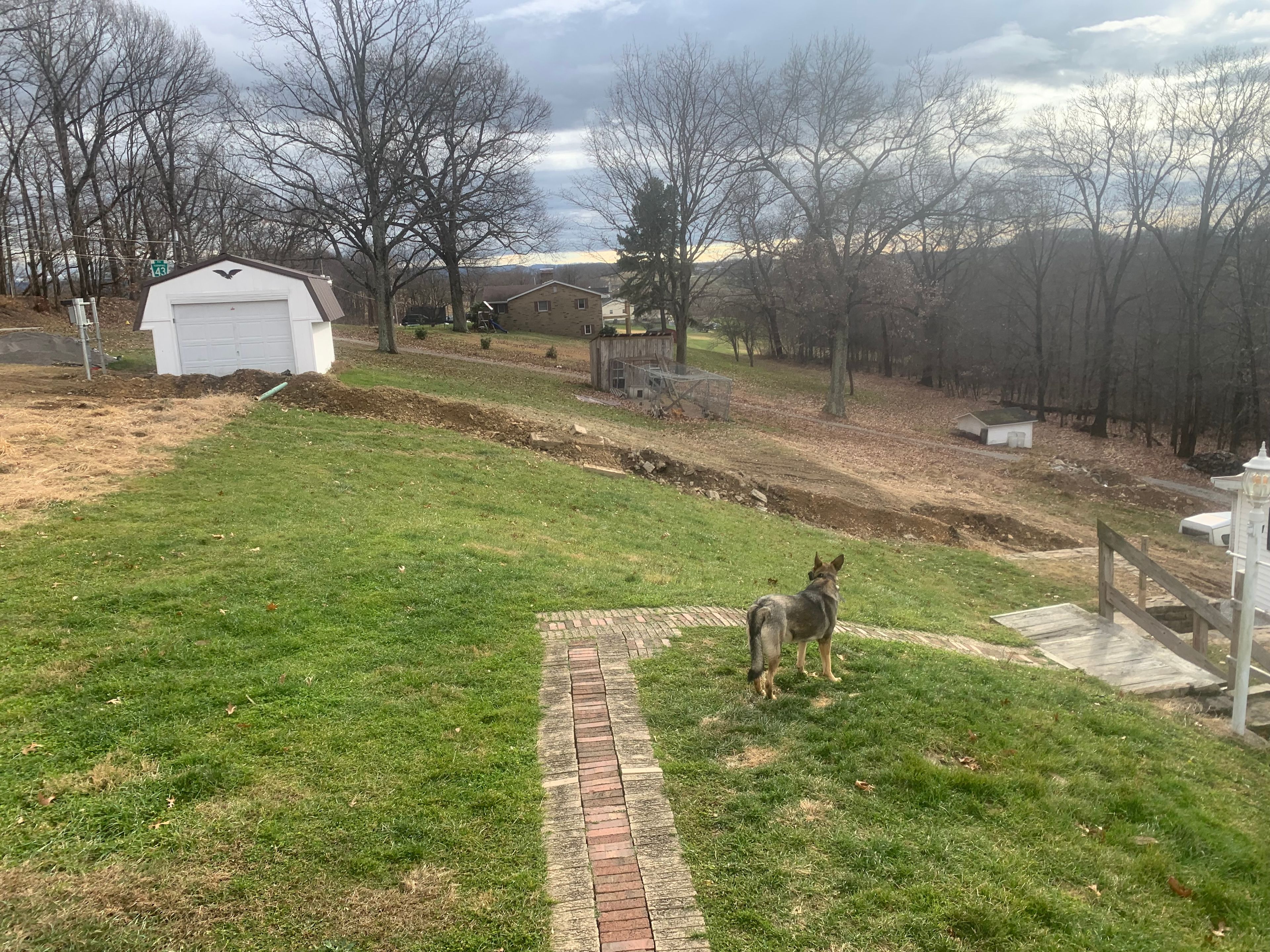 The Miscovich Homestead