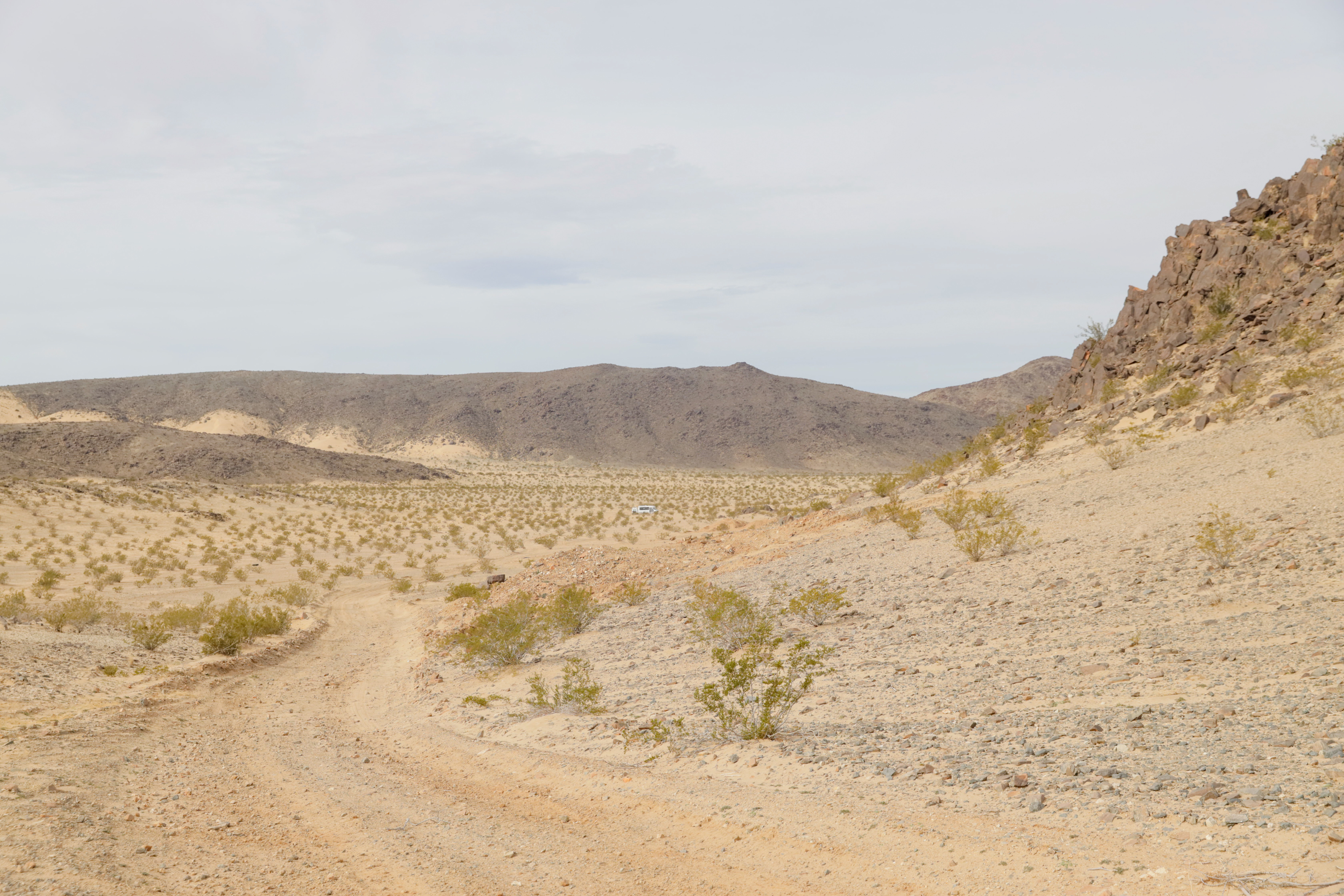 One of the roads that goes through the property 