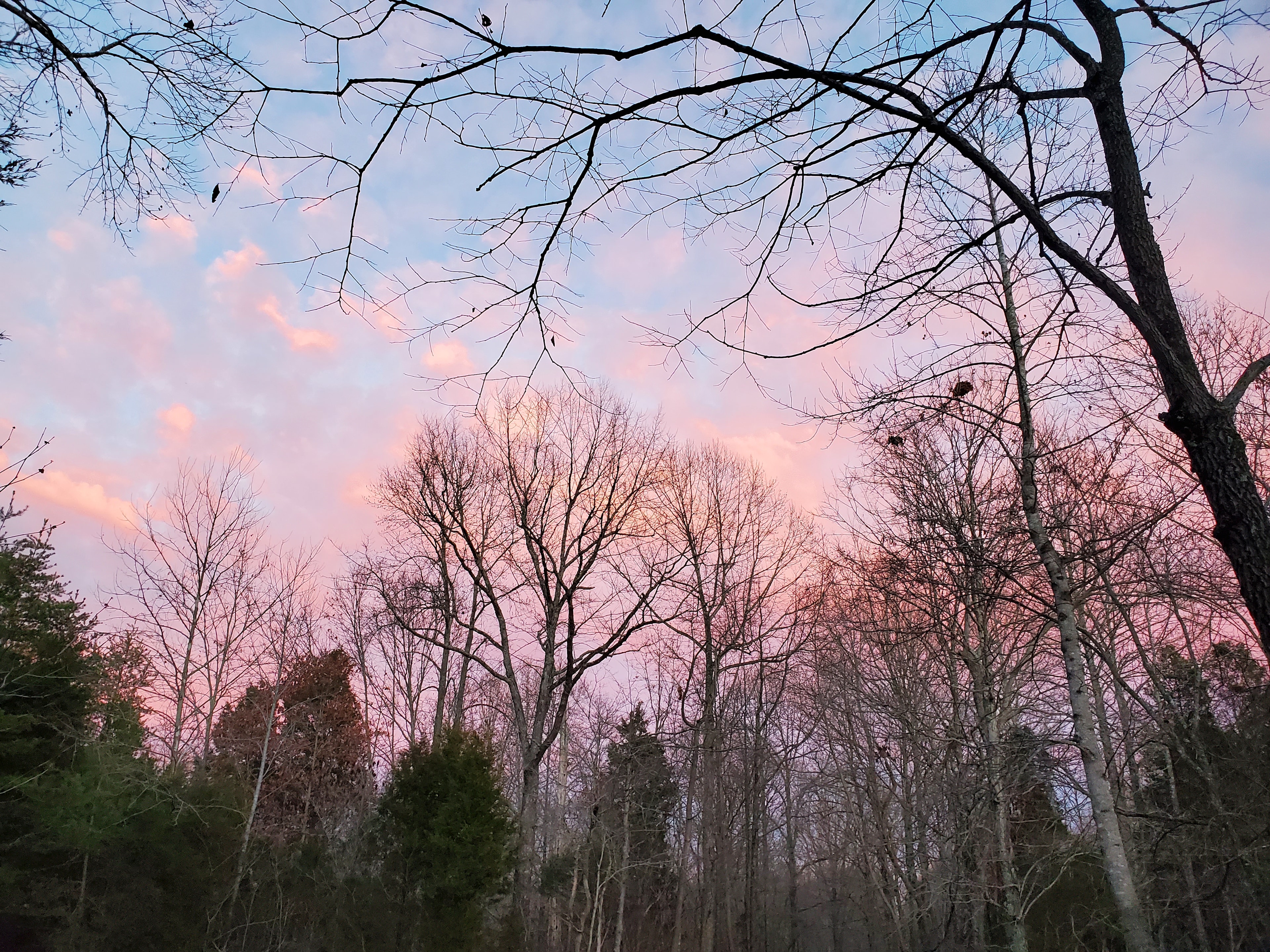 whispering moonbeam acres