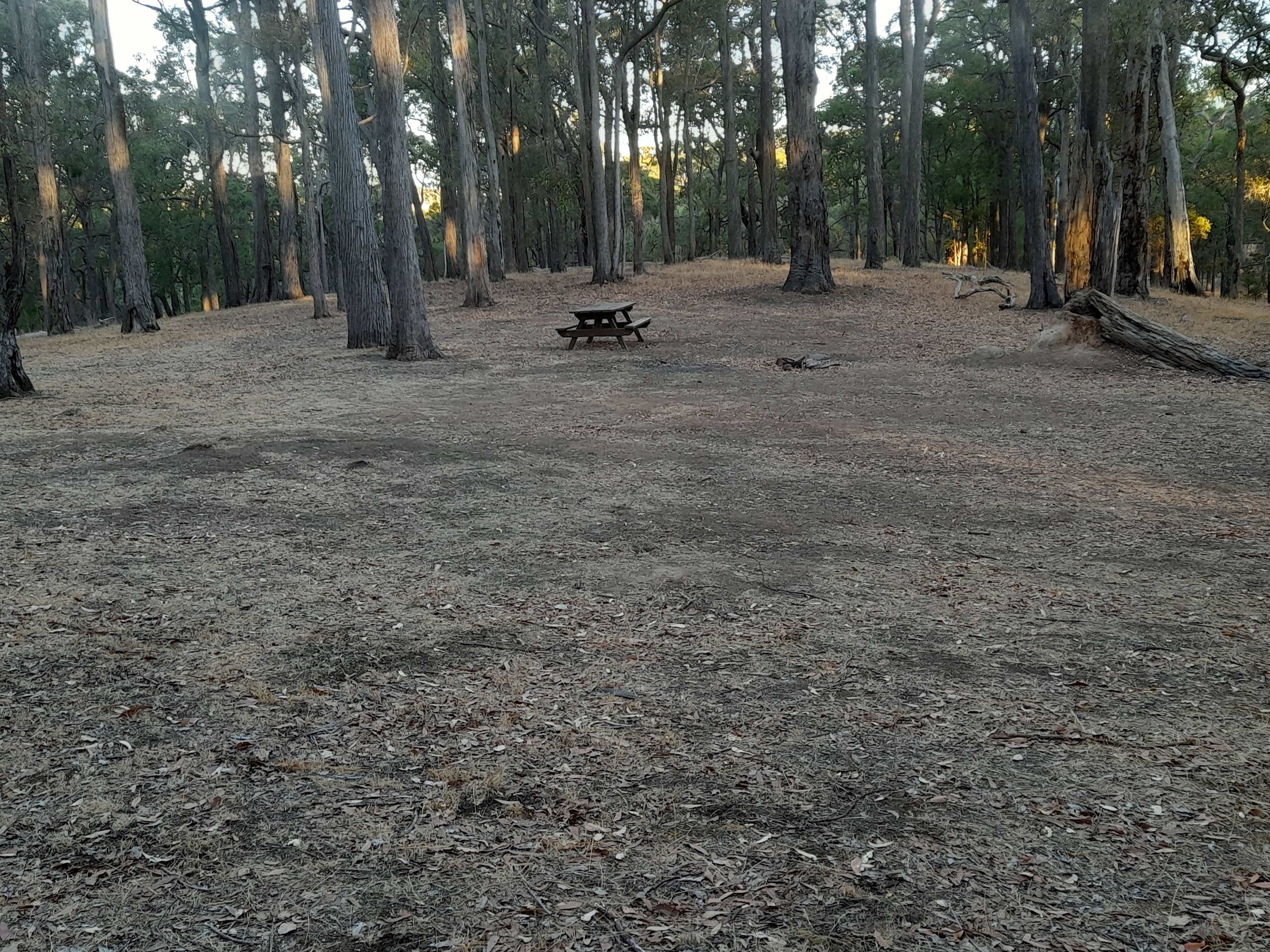 Parkland Bush Camp Mapanap