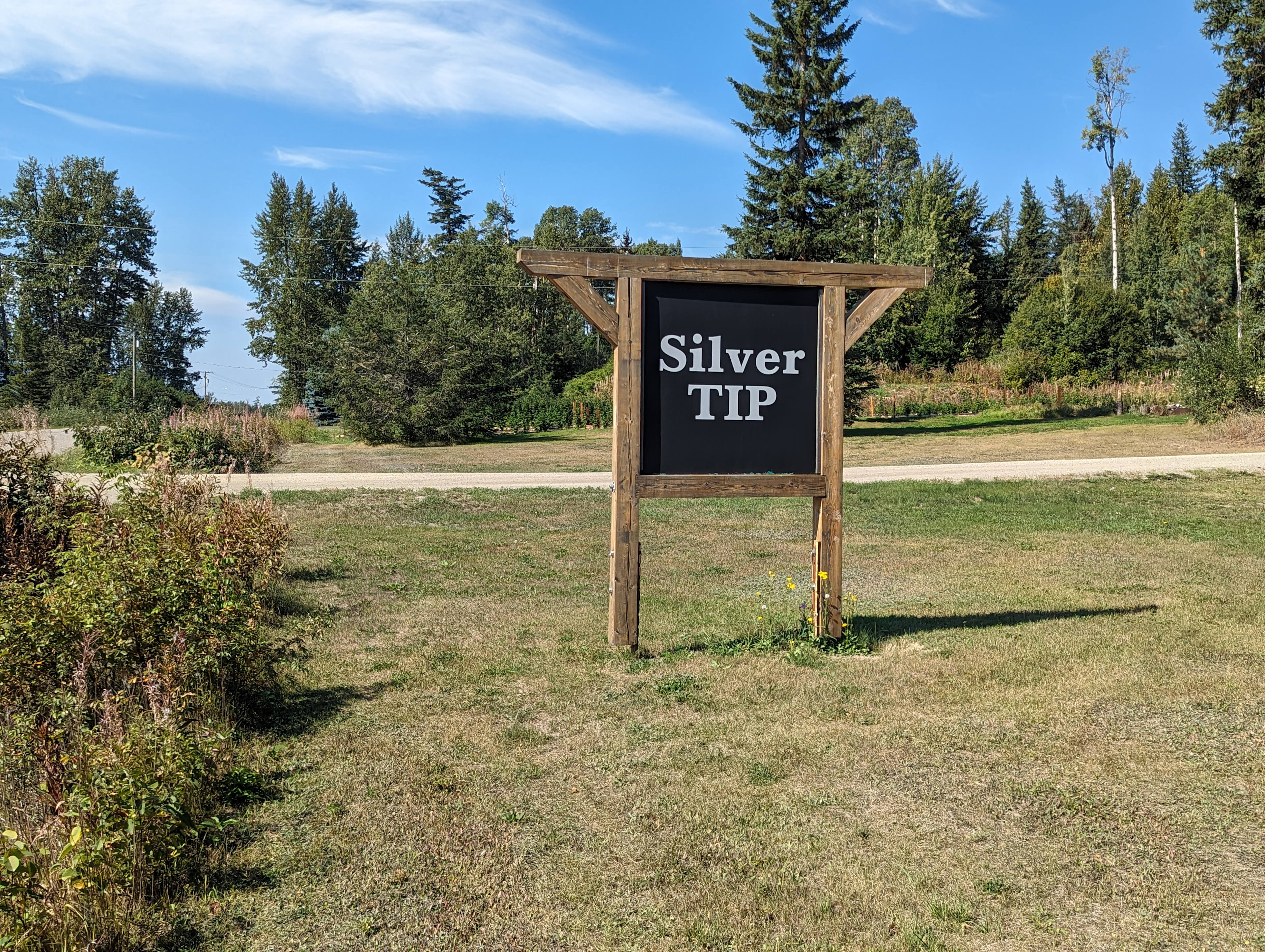 Silver Tip