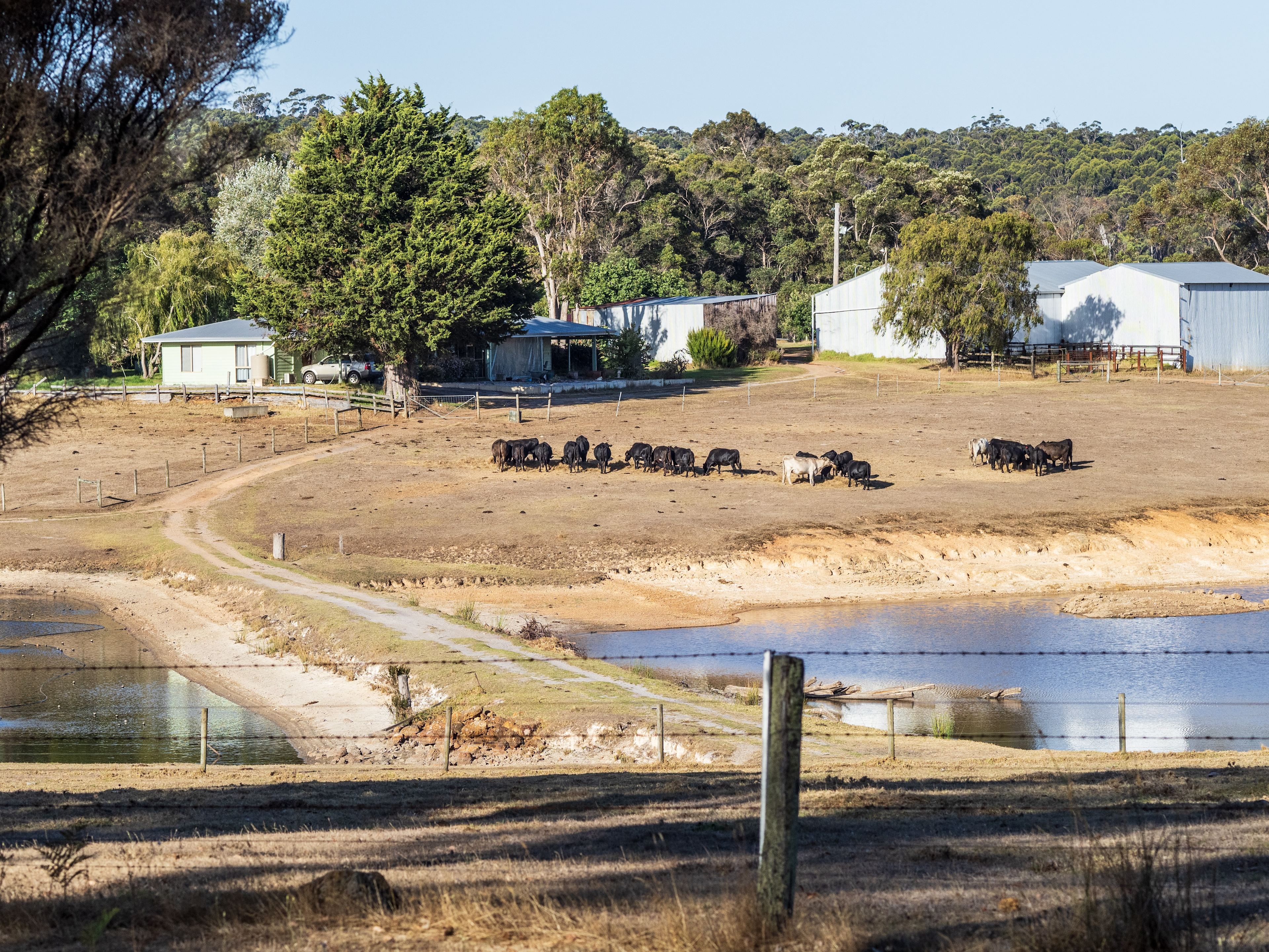 The view from our site over the neighbour's farm
