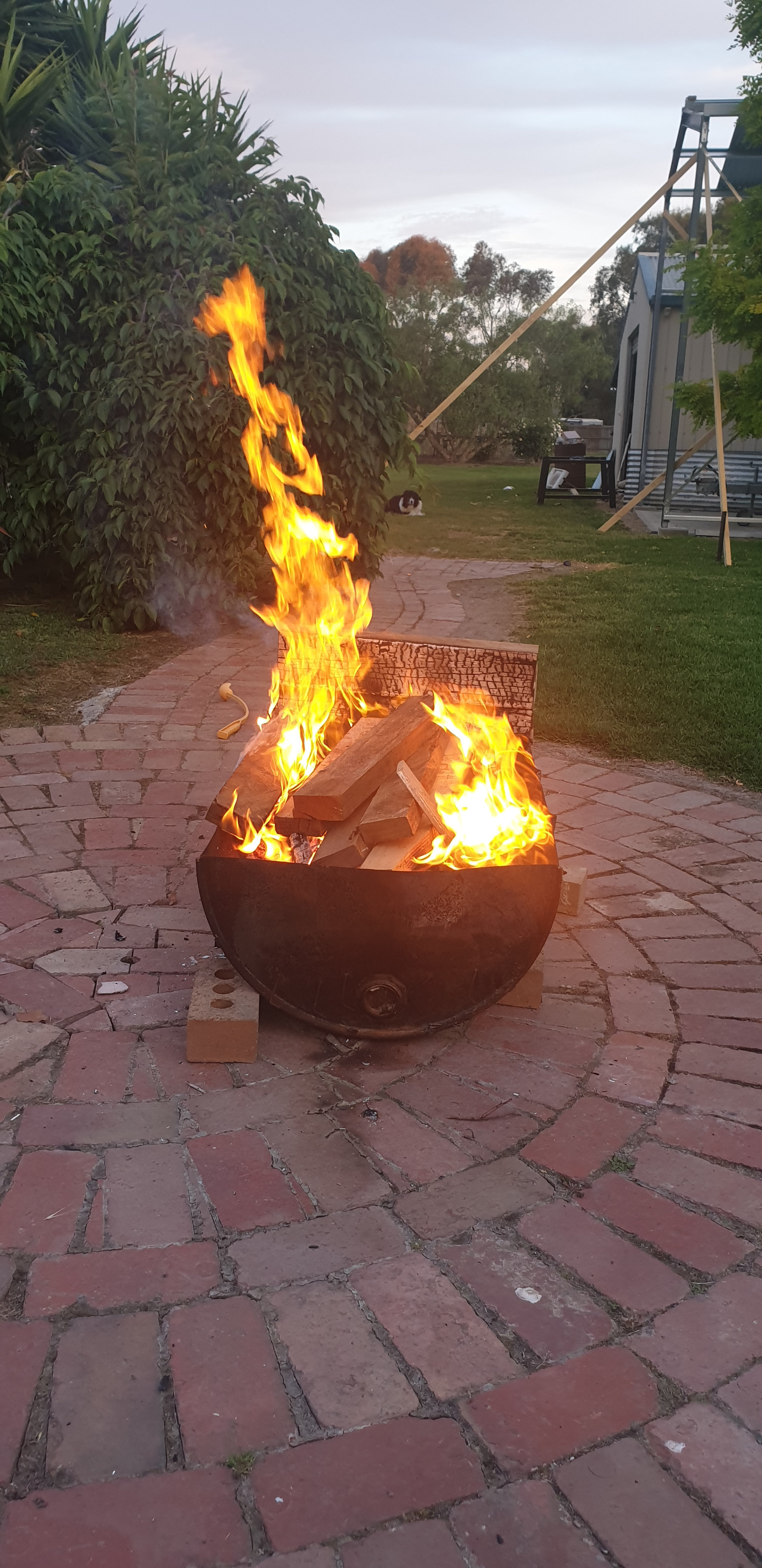 Camping on Coppards
