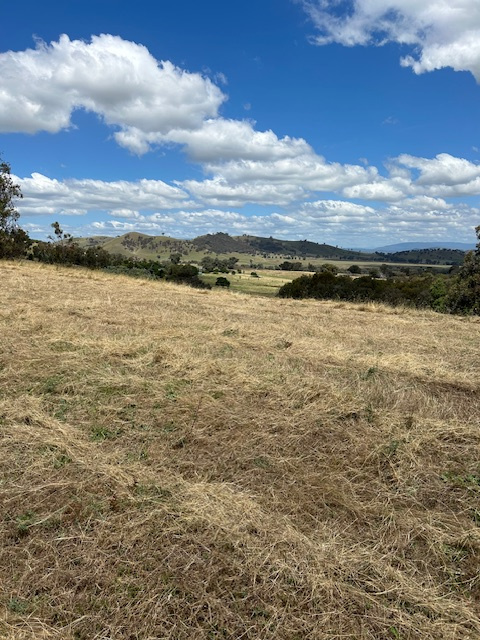 Panorama on Oxenbury