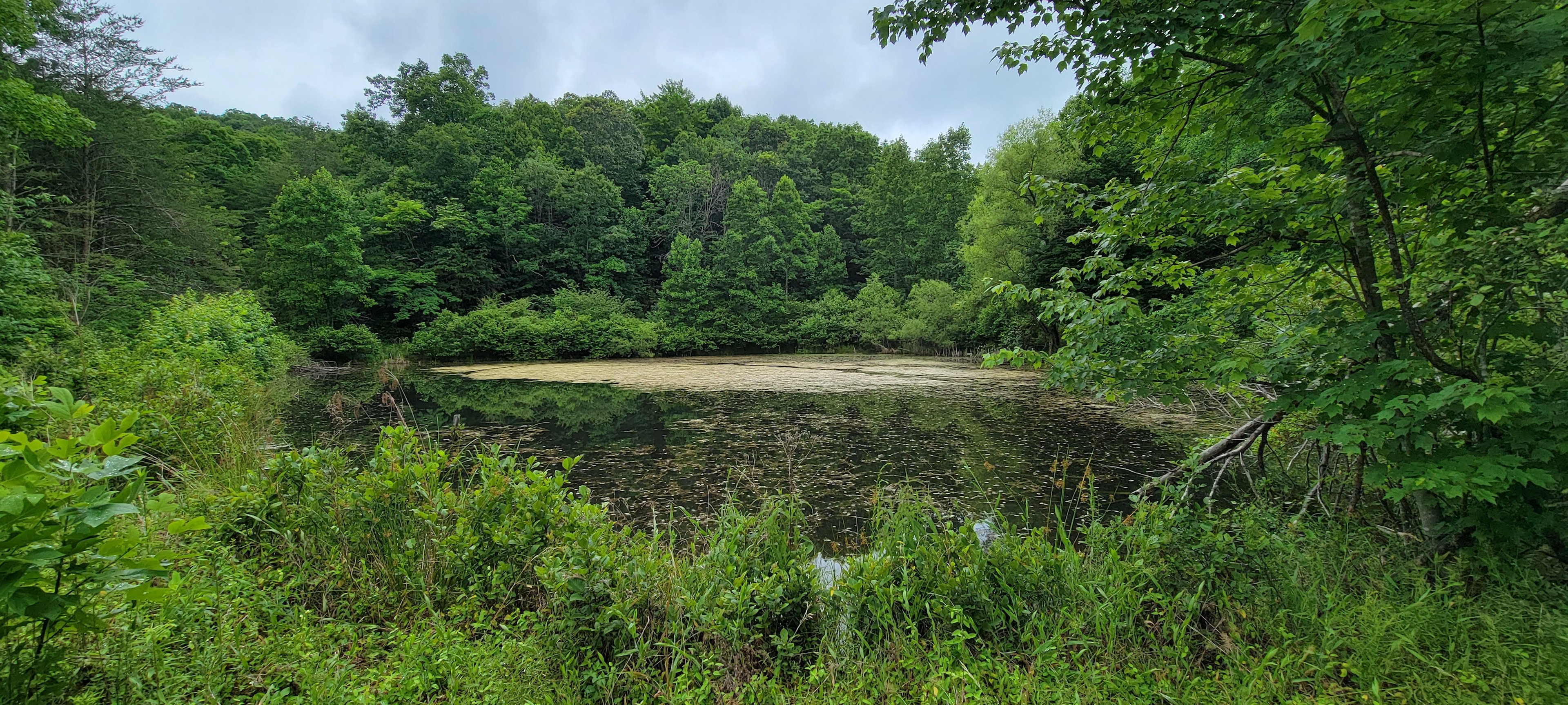 Take a Hike on a Wild side! Camping